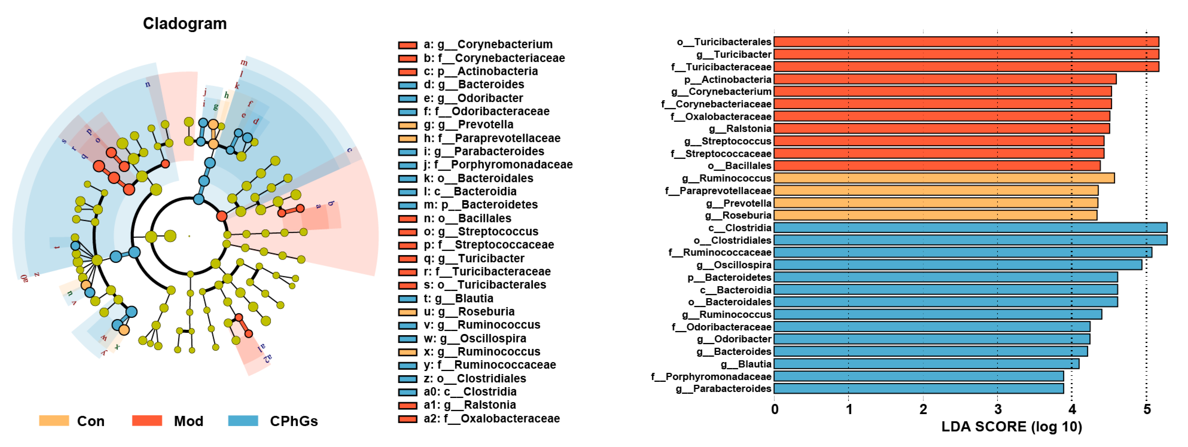 Pharmaceuticals 17 01149 g007