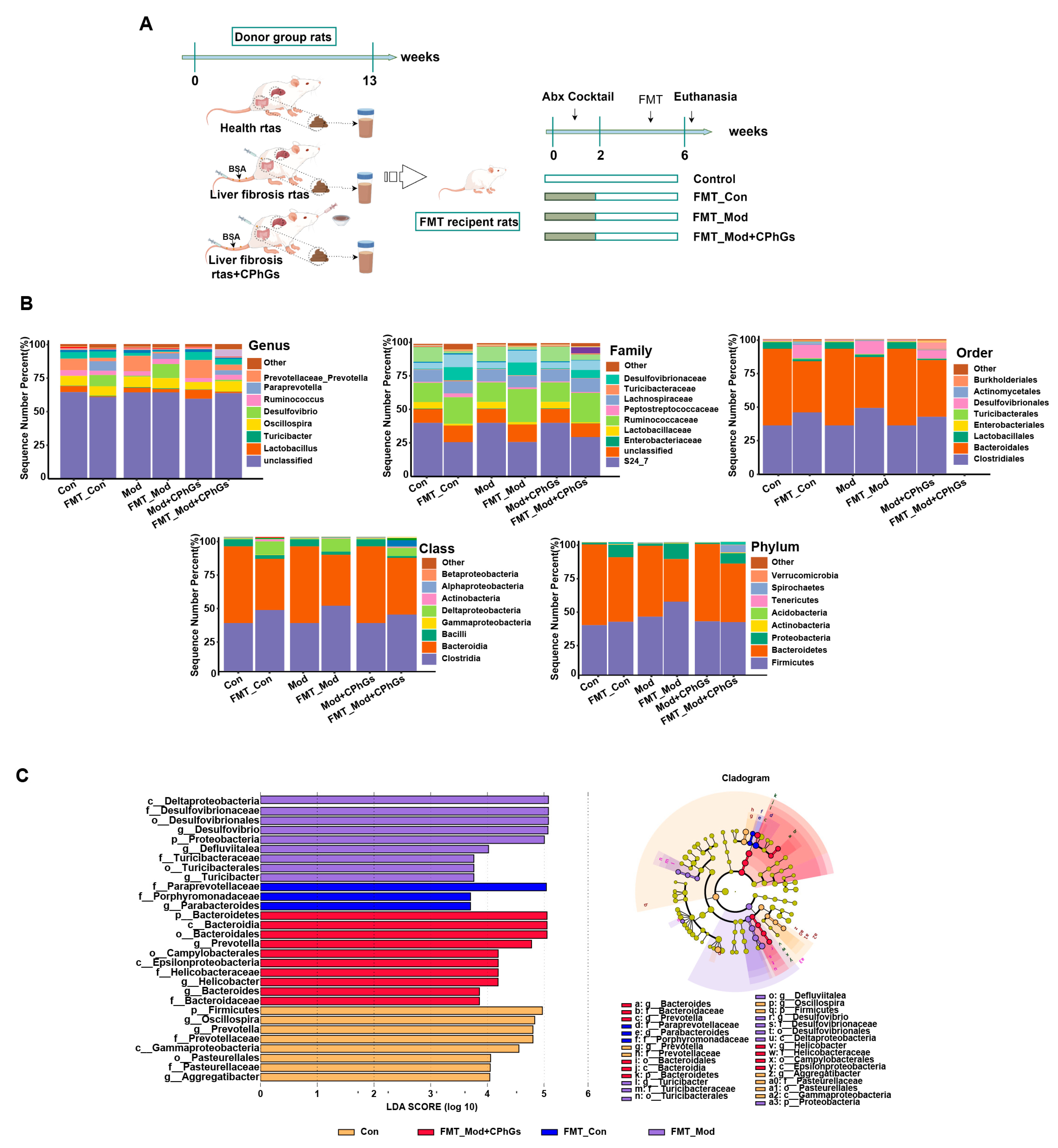Pharmaceuticals 17 01149 g008