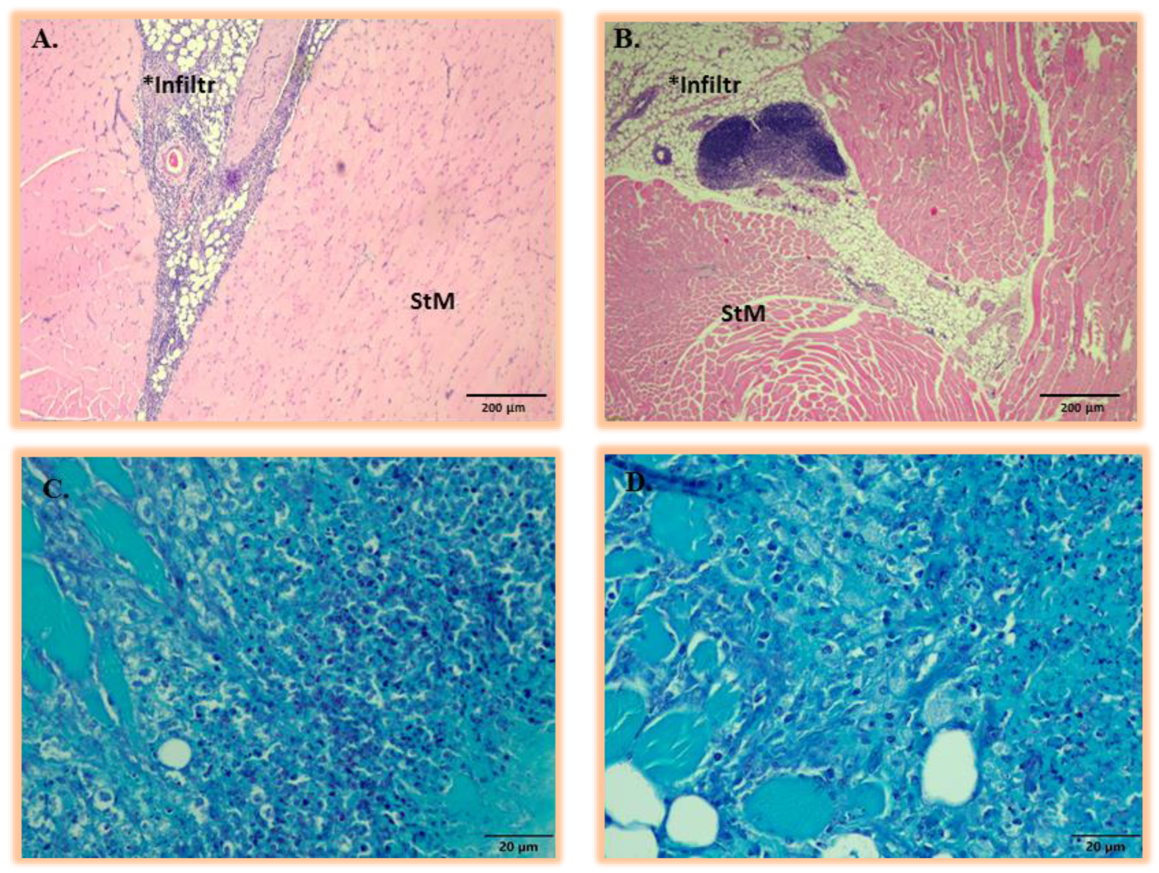 Pharmaceuticals 17 01150 g0a5