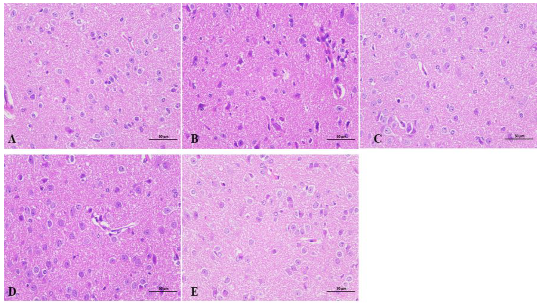 Pharmaceuticals 17 01161 g003