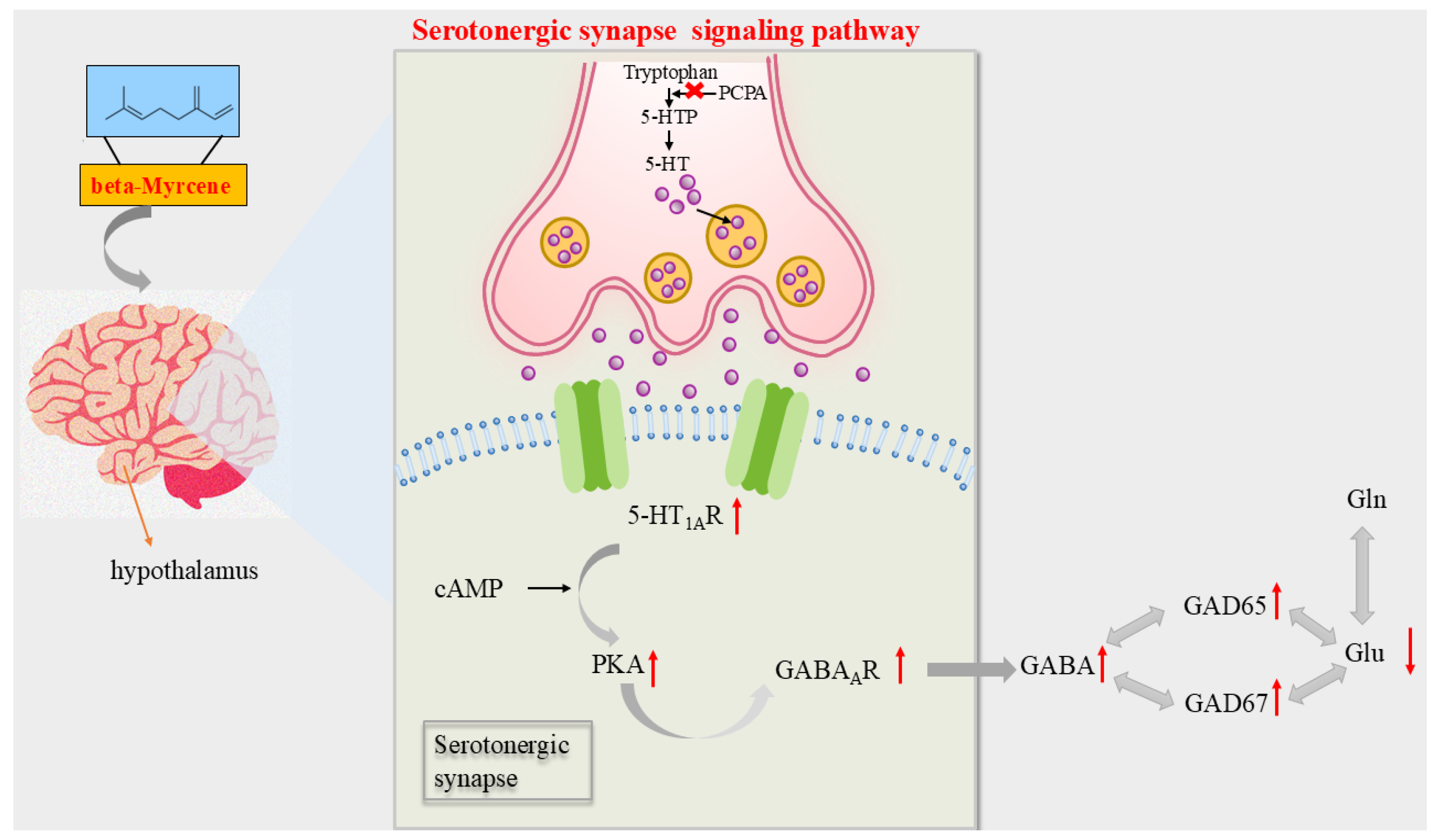 Pharmaceuticals 17 01161 g008