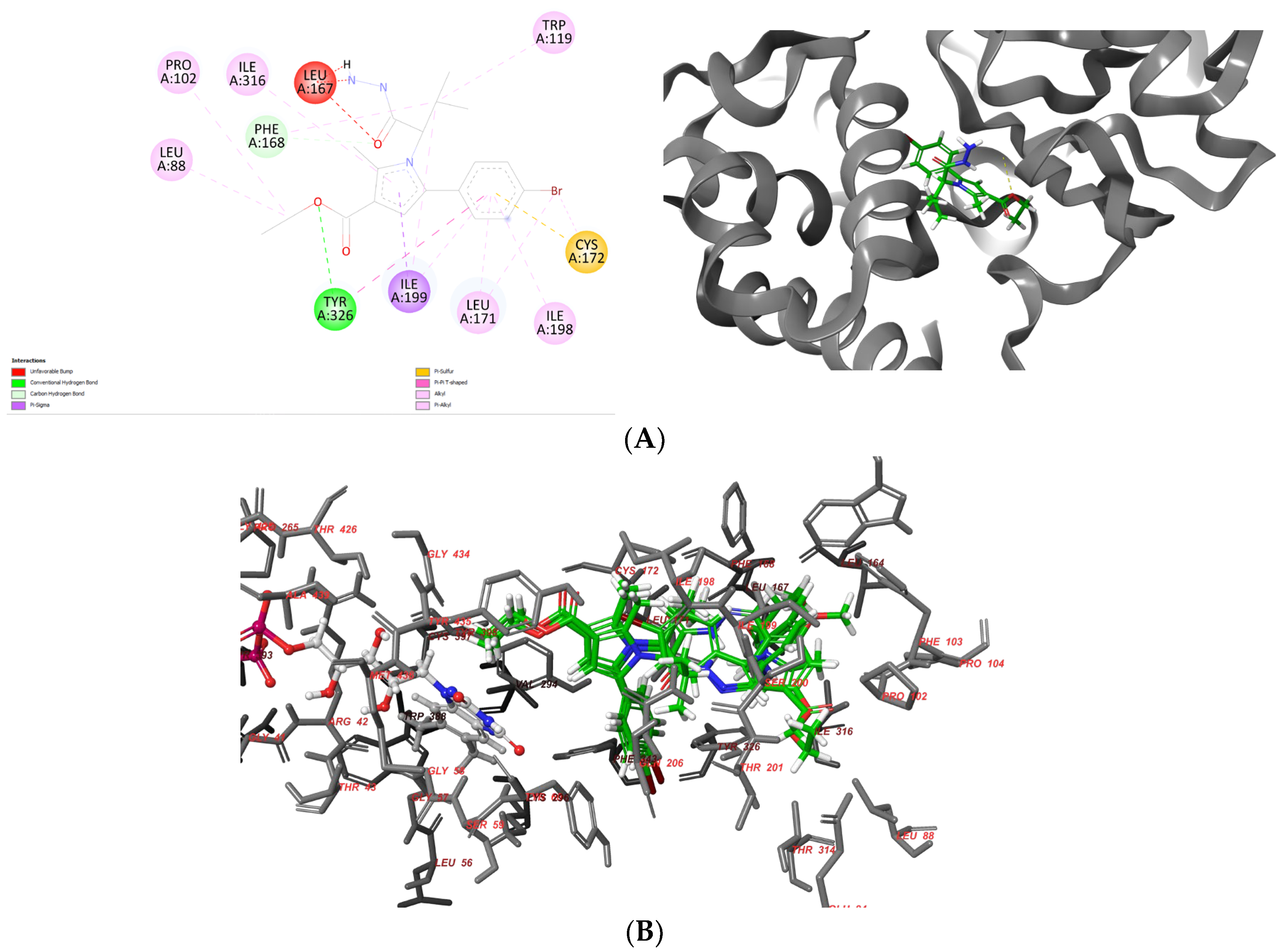 Pharmaceuticals 17 01171 g005