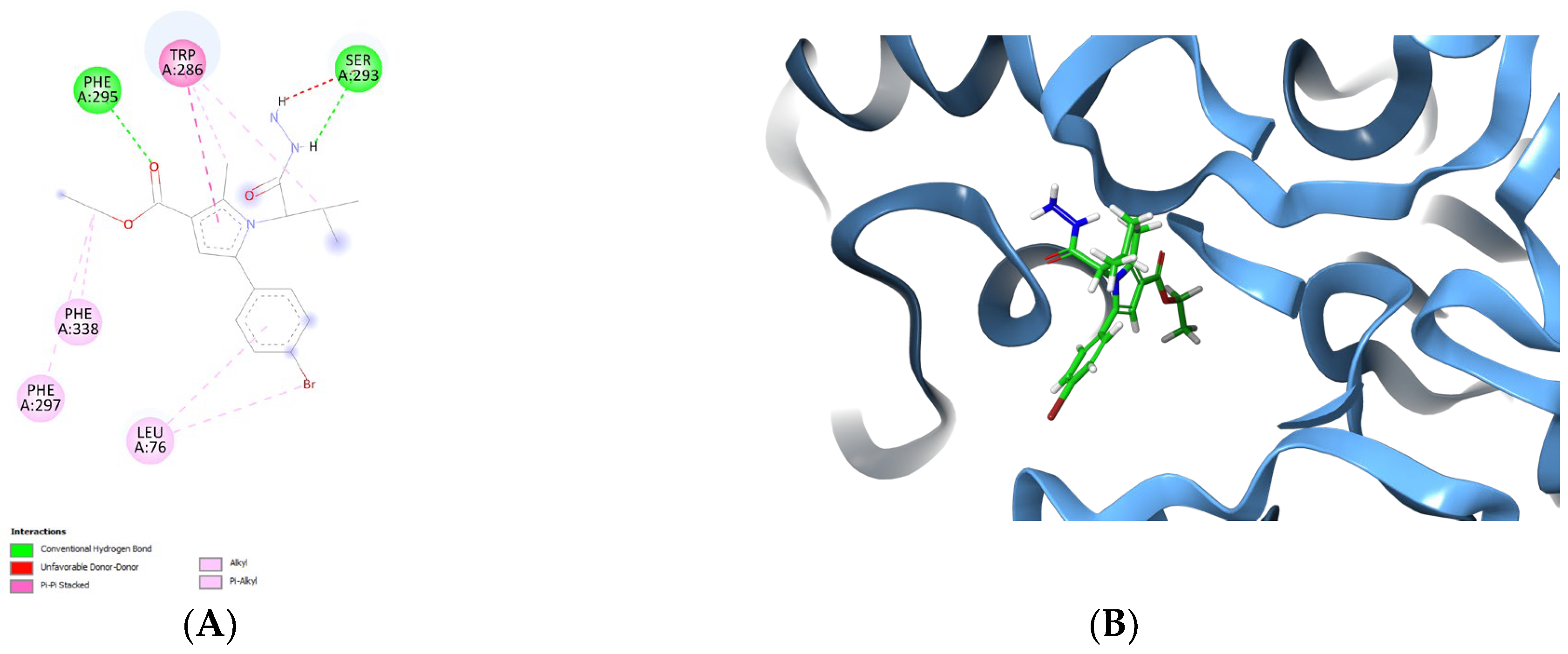 Pharmaceuticals 17 01171 g006