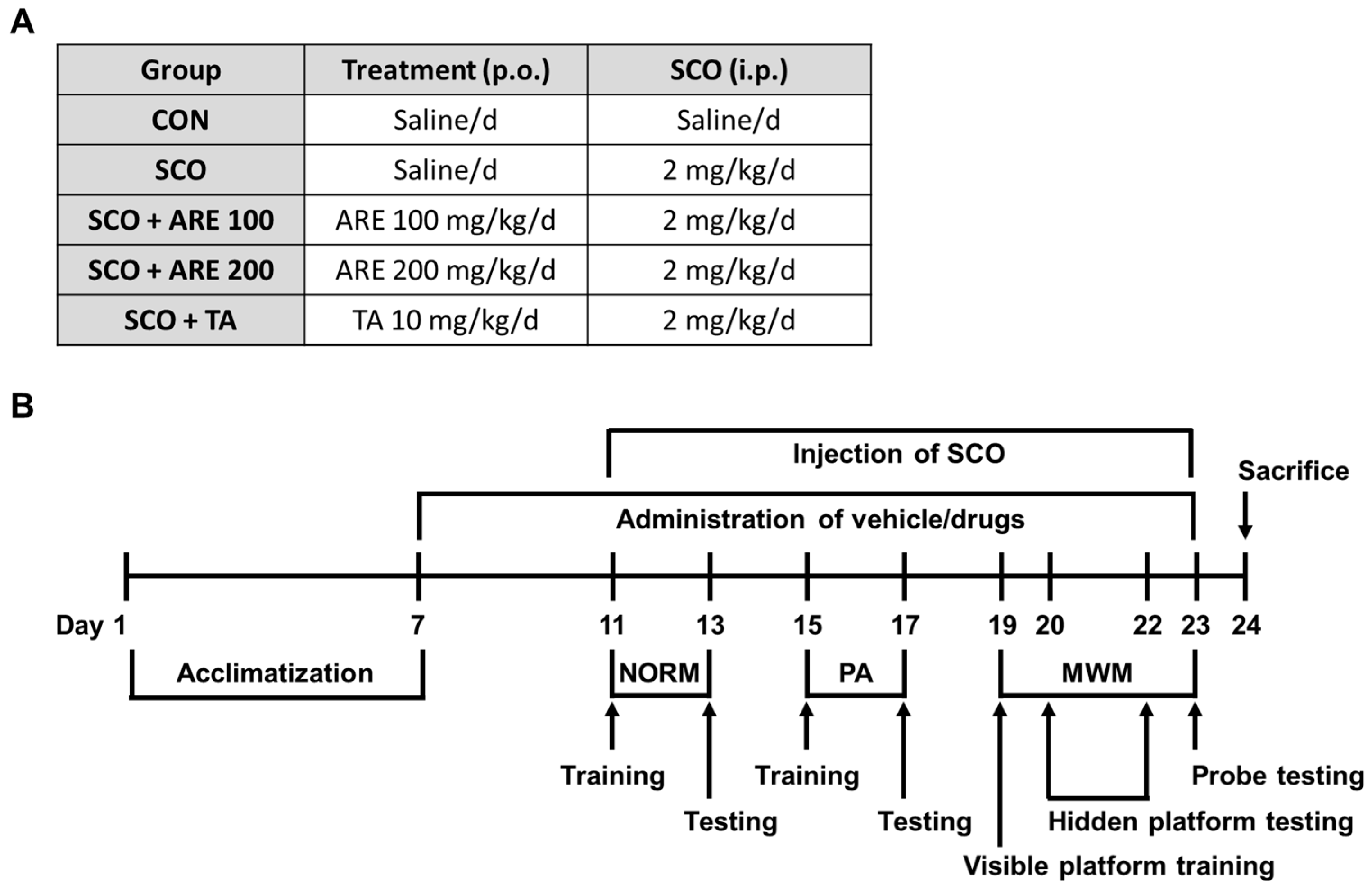 Pharmaceuticals 17 01173 g005 Pharmaceuticals 17 01173 g005