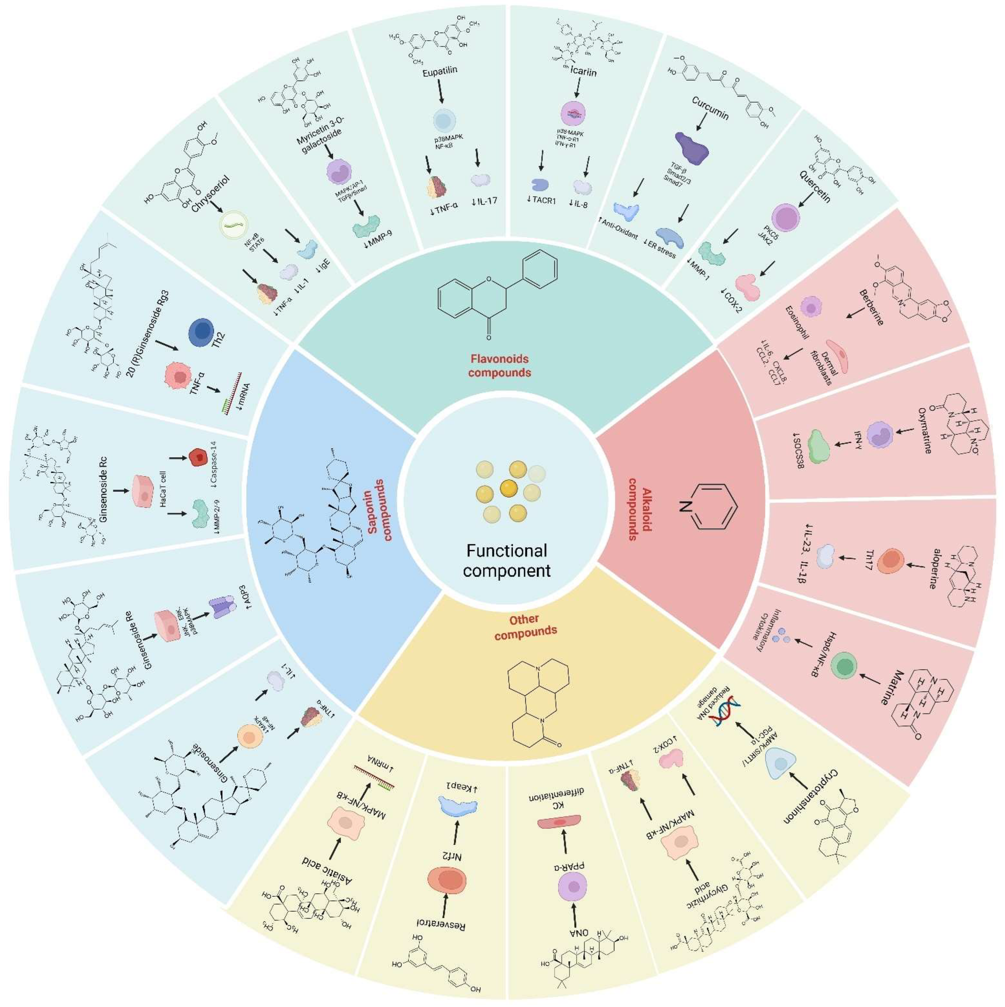 Pharmaceuticals 17 01176 g003