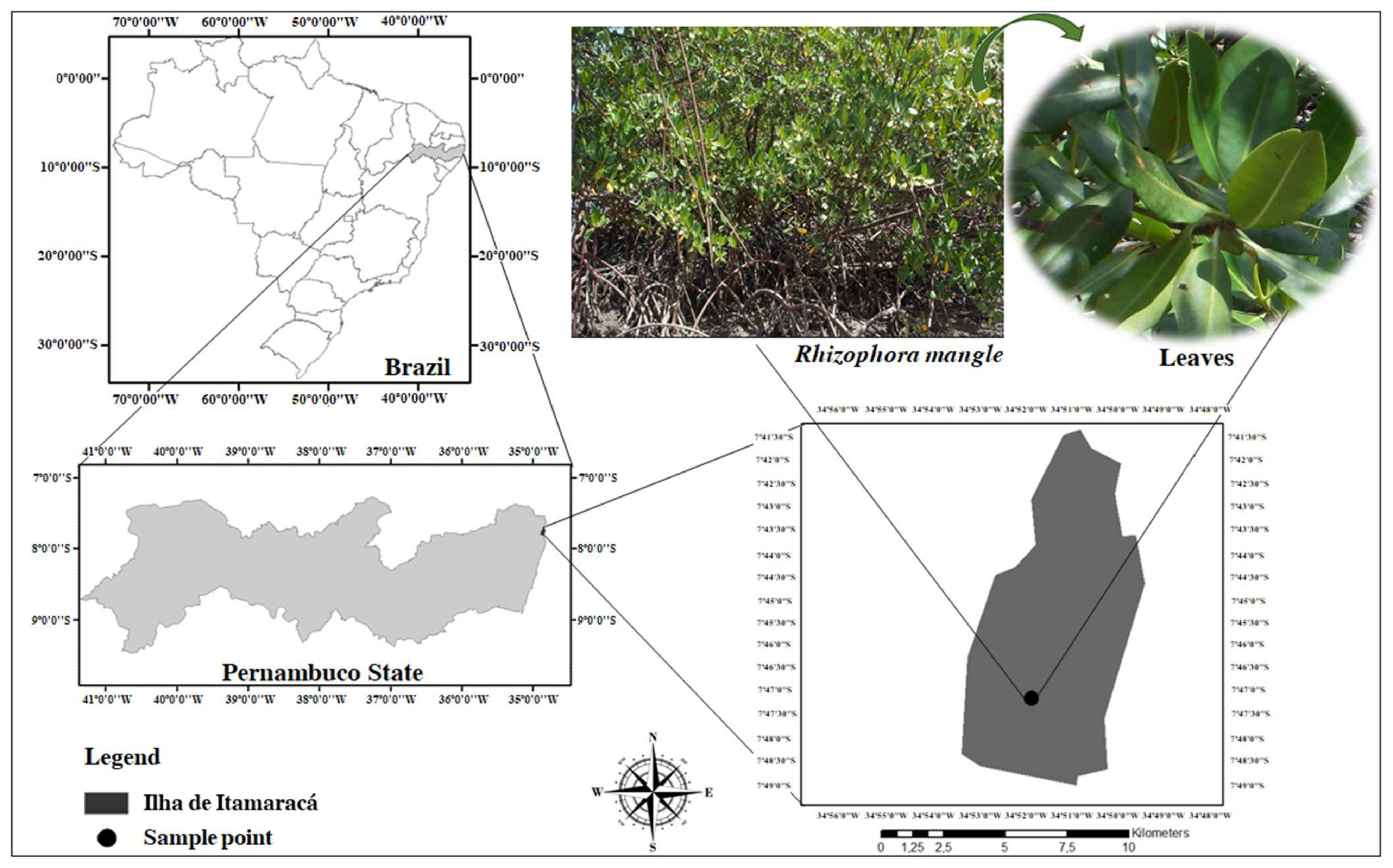 Pharmaceuticals 17 01178 g005