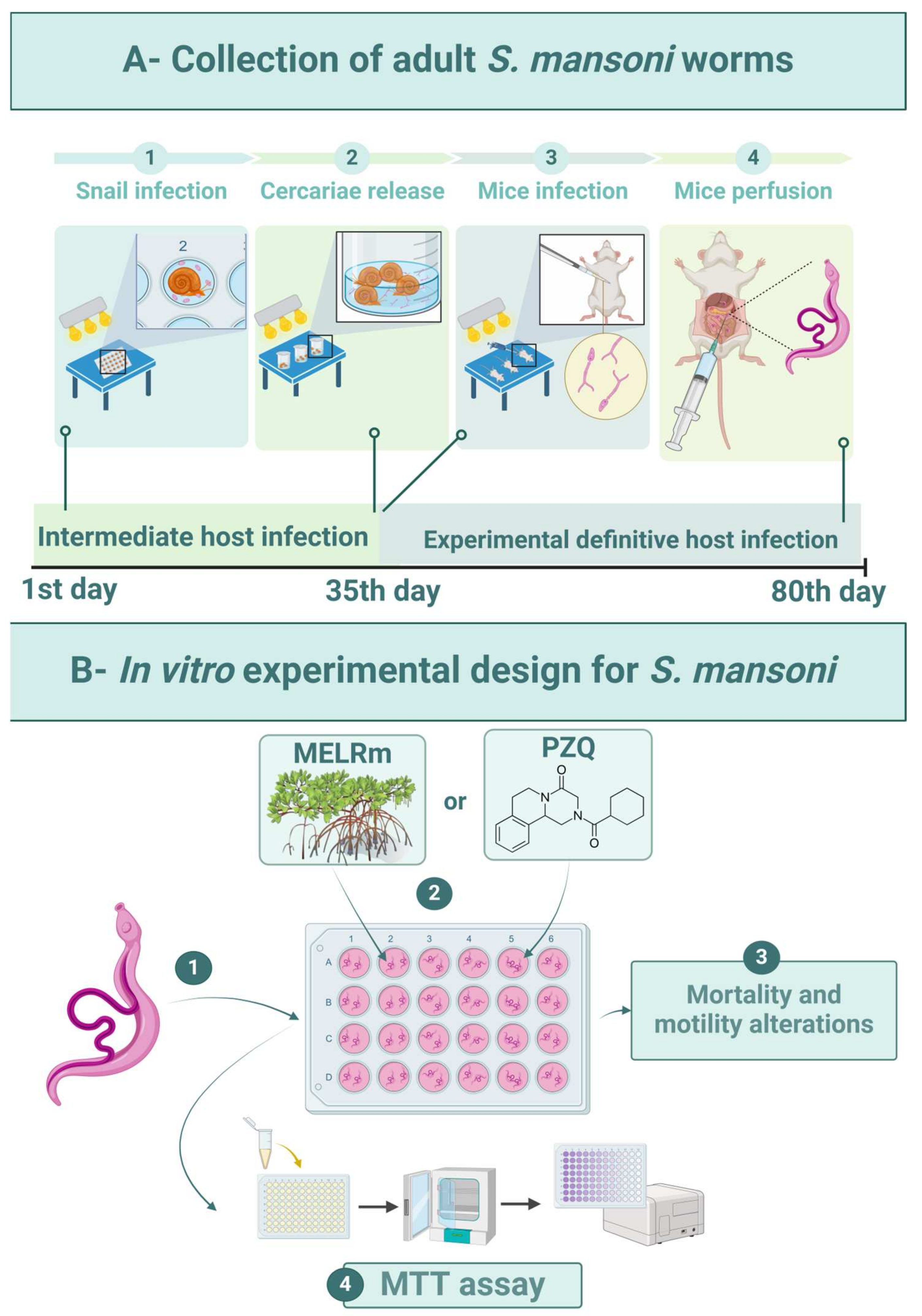 Pharmaceuticals 17 01178 g006
