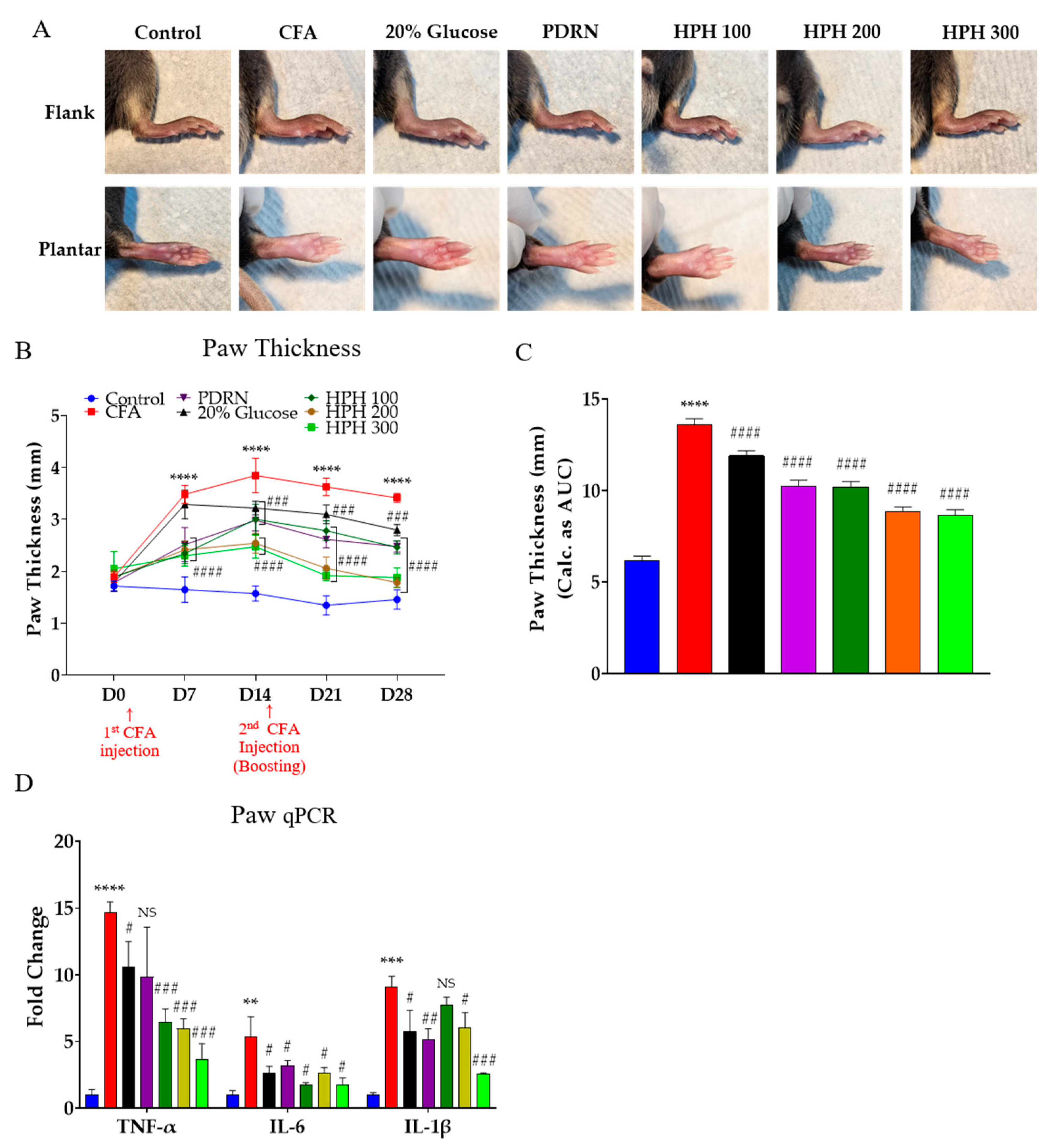 Pharmaceuticals 17 01179 g002