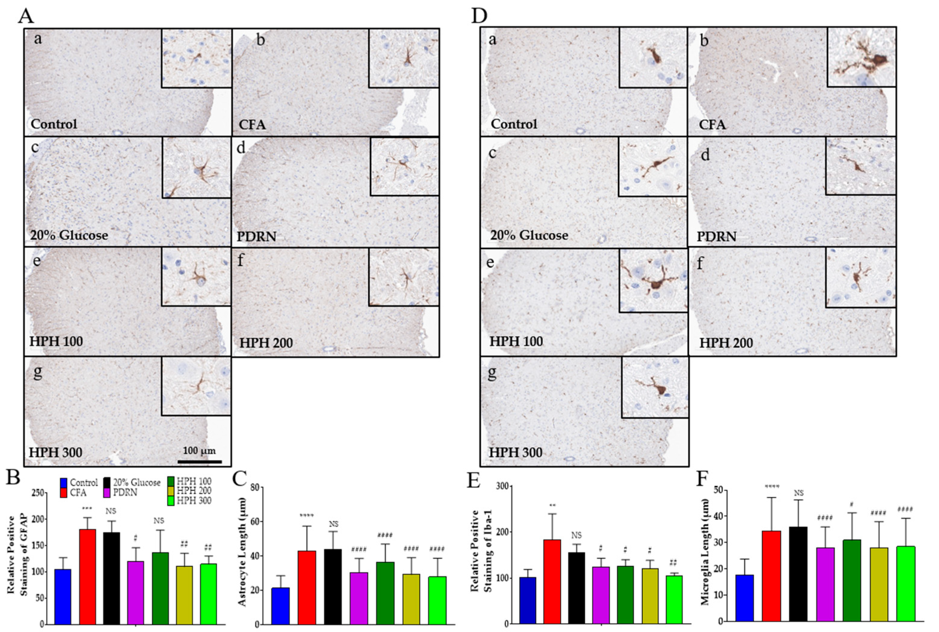 Pharmaceuticals 17 01179 g005