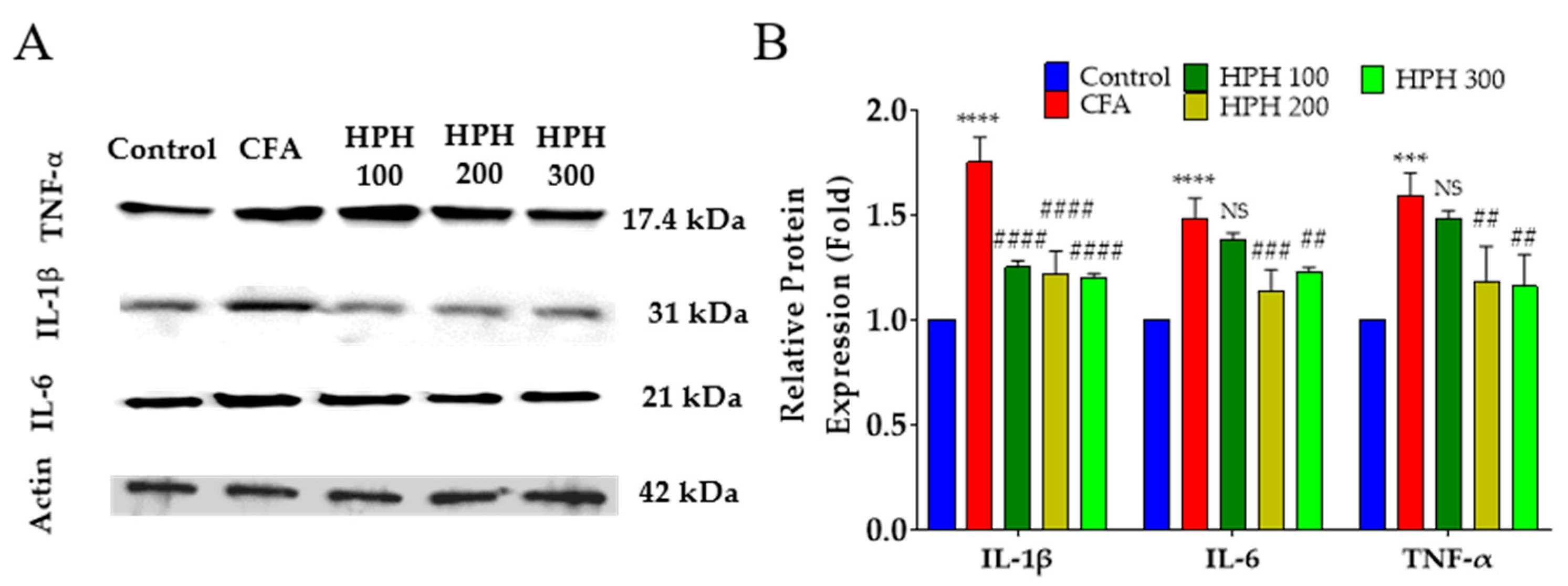 Pharmaceuticals 17 01179 g006