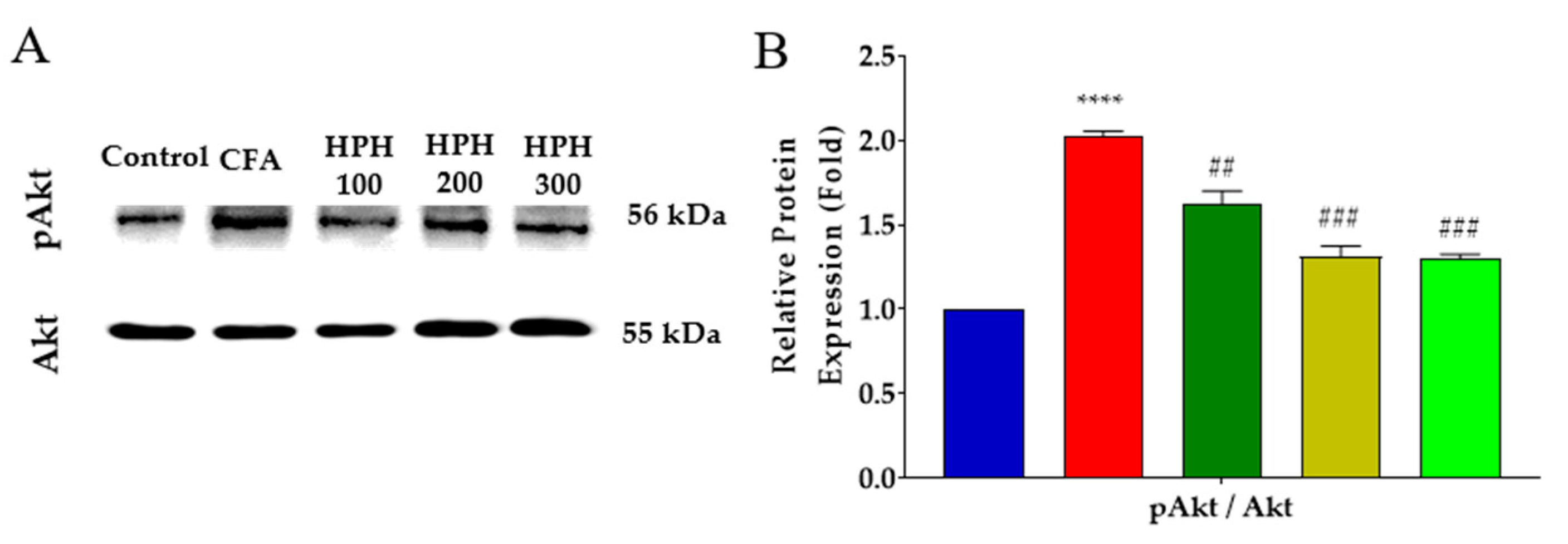 Pharmaceuticals 17 01179 g007