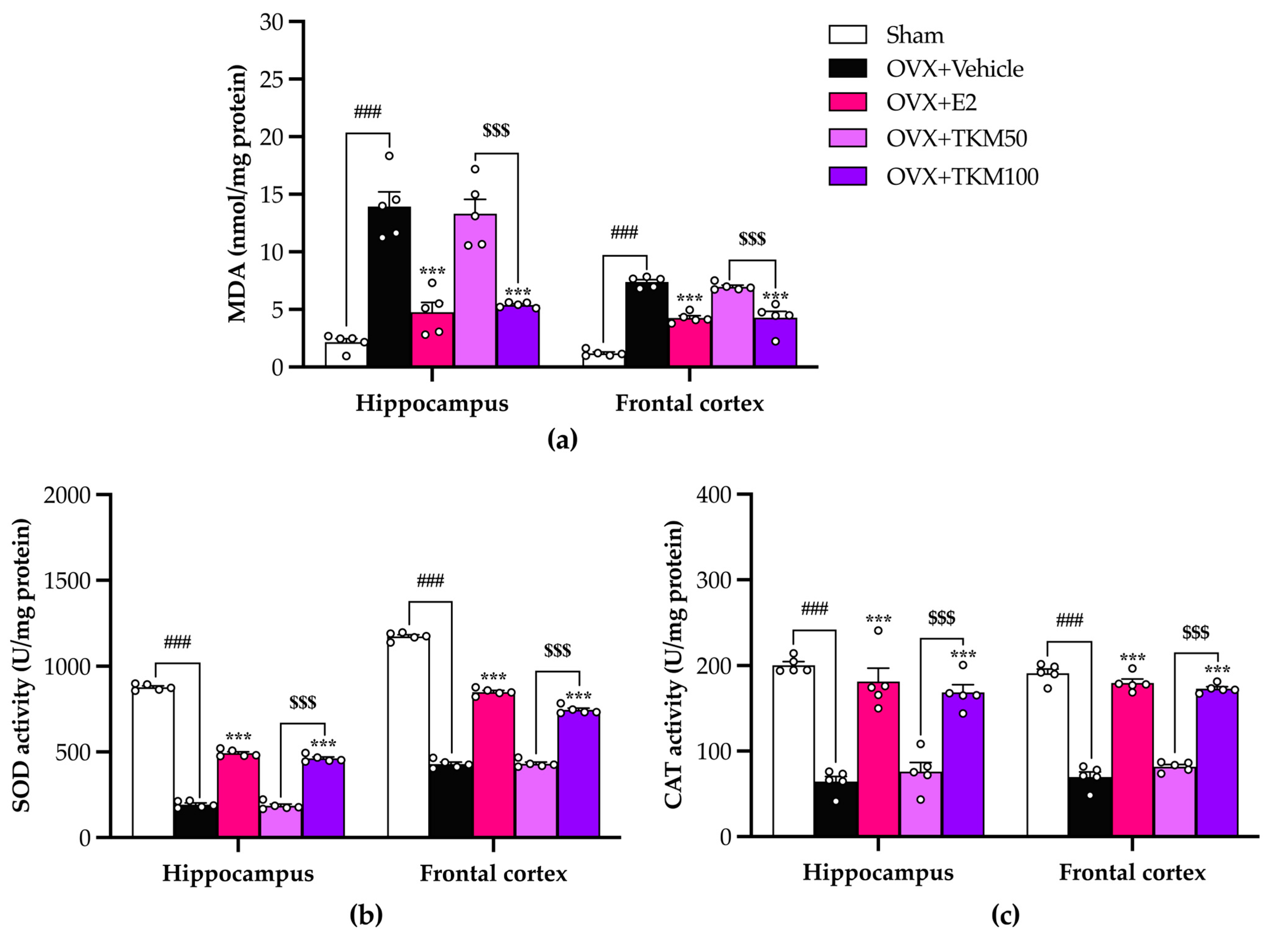 Pharmaceuticals 17 01182 g006