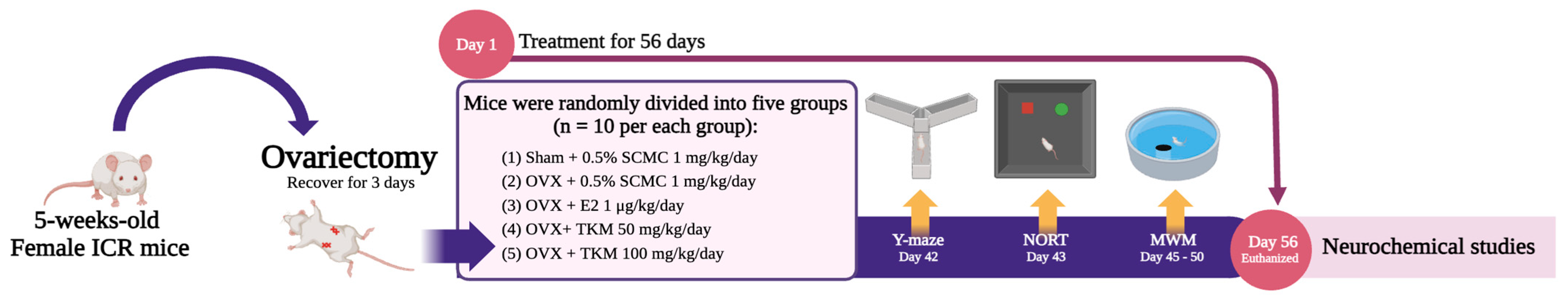 Pharmaceuticals 17 01182 g009