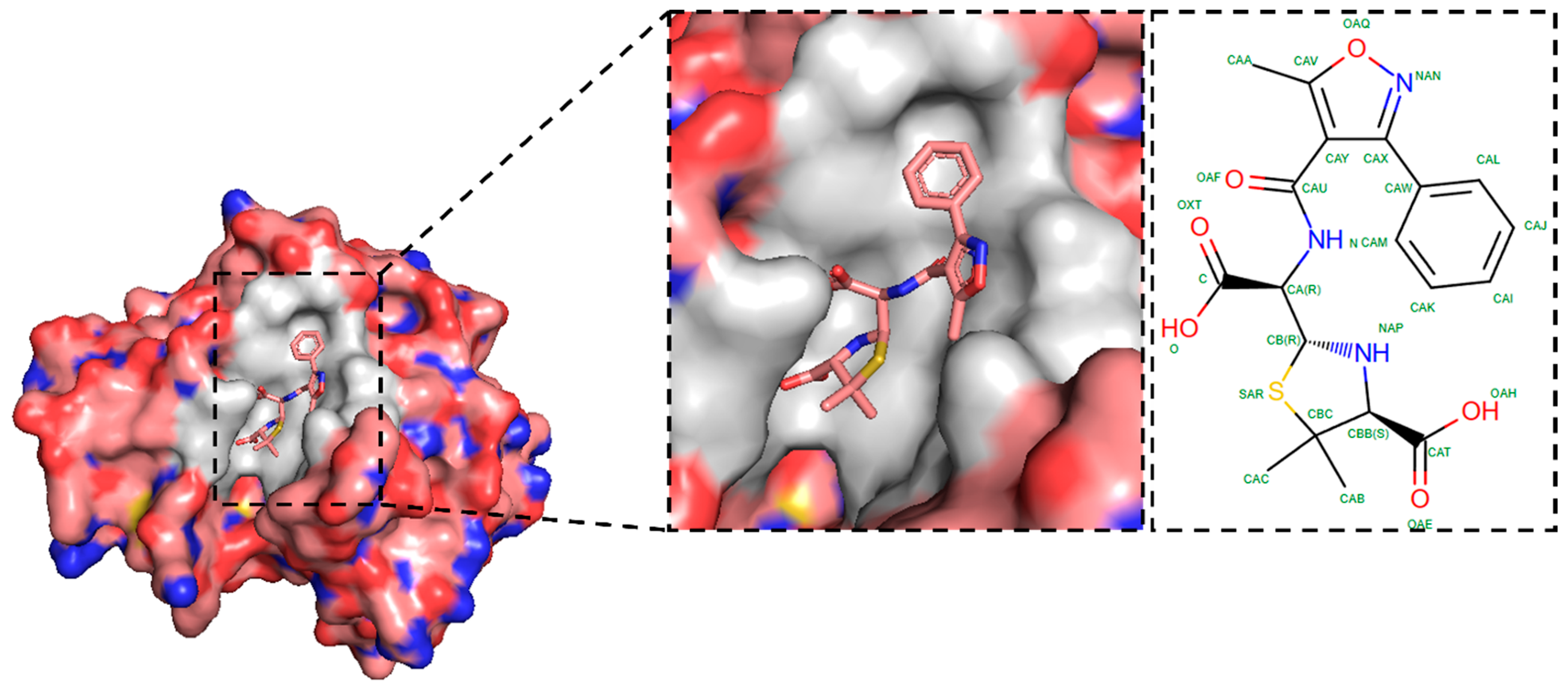 Pharmaceuticals 17 01183 g001
