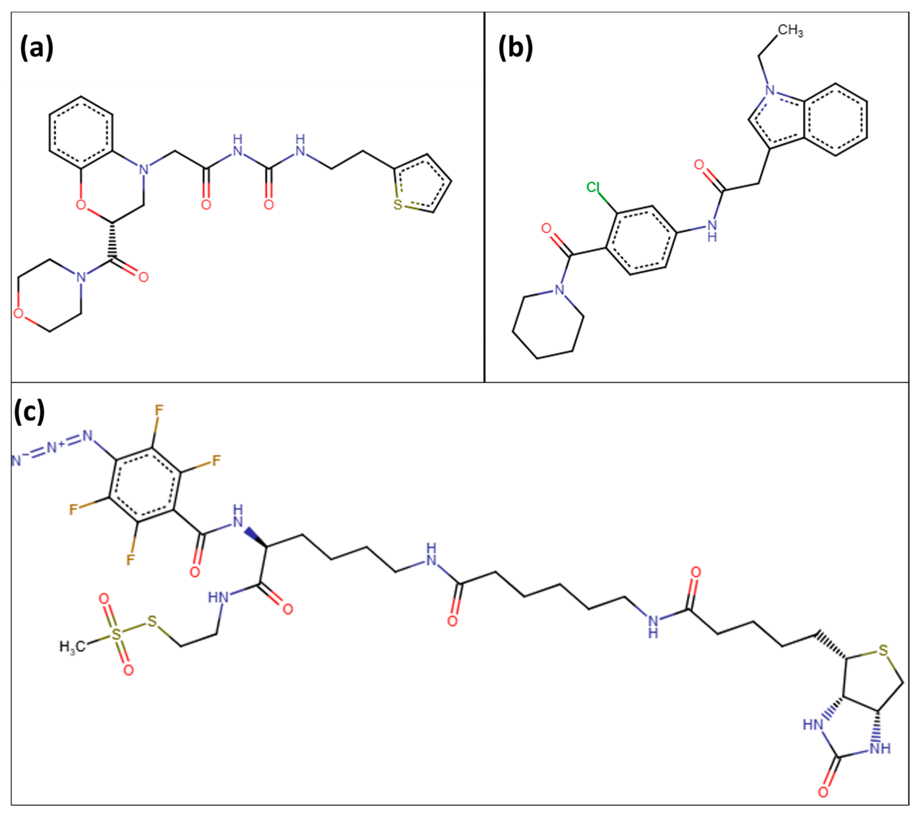 Pharmaceuticals 17 01183 g007