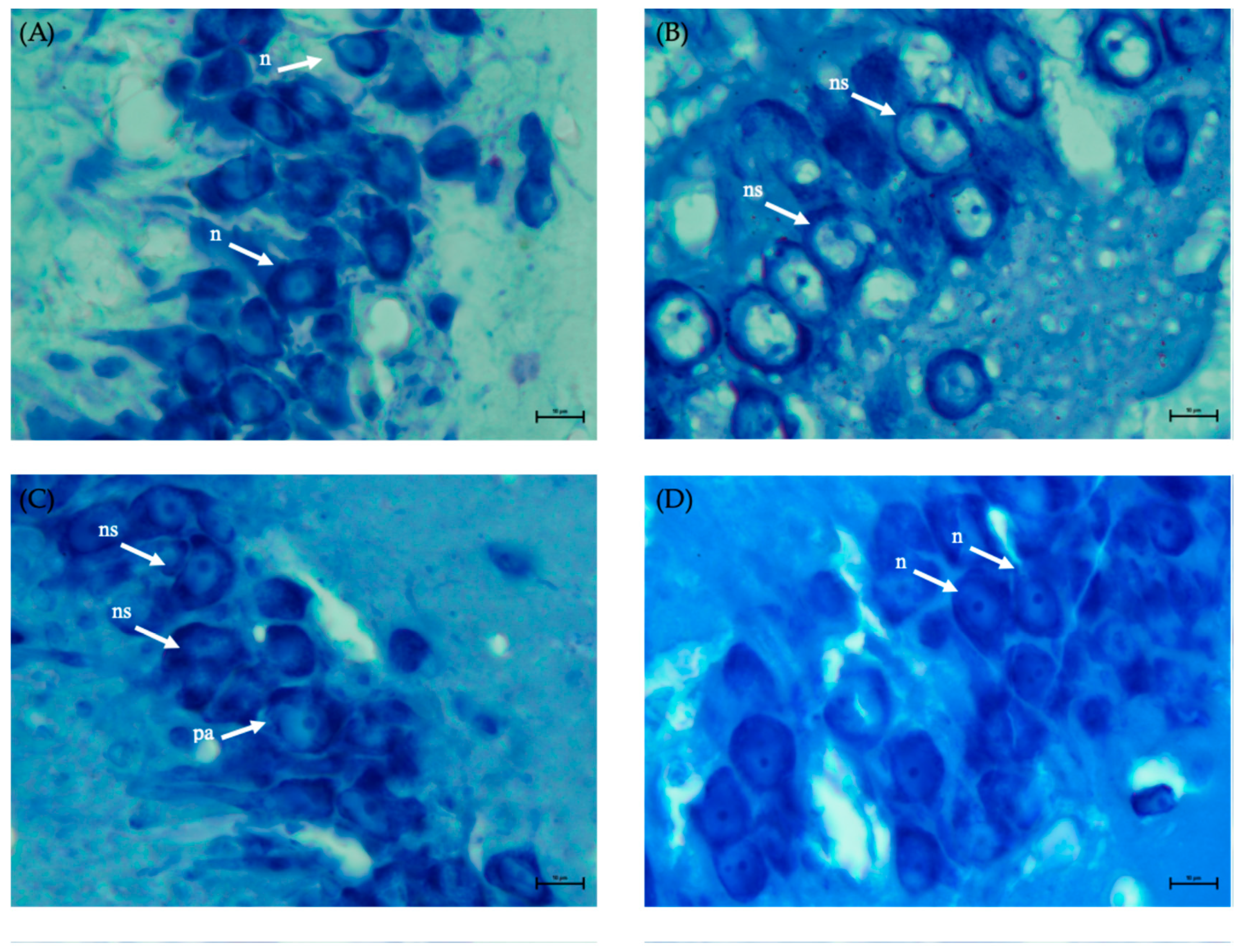 Pharmaceuticals 17 01184 g007