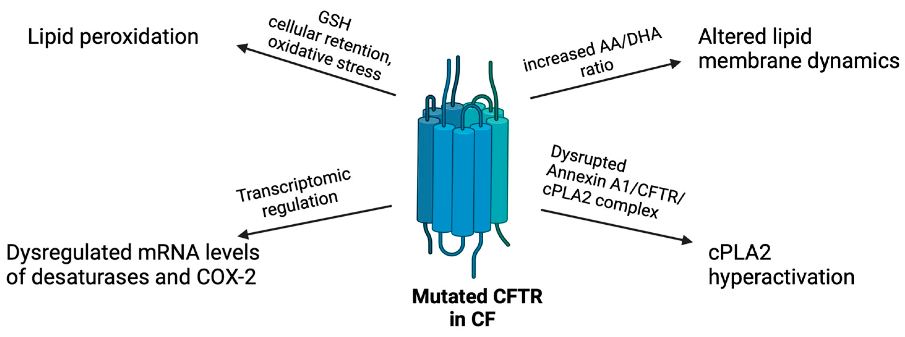 Pharmaceuticals 17 01185 g003