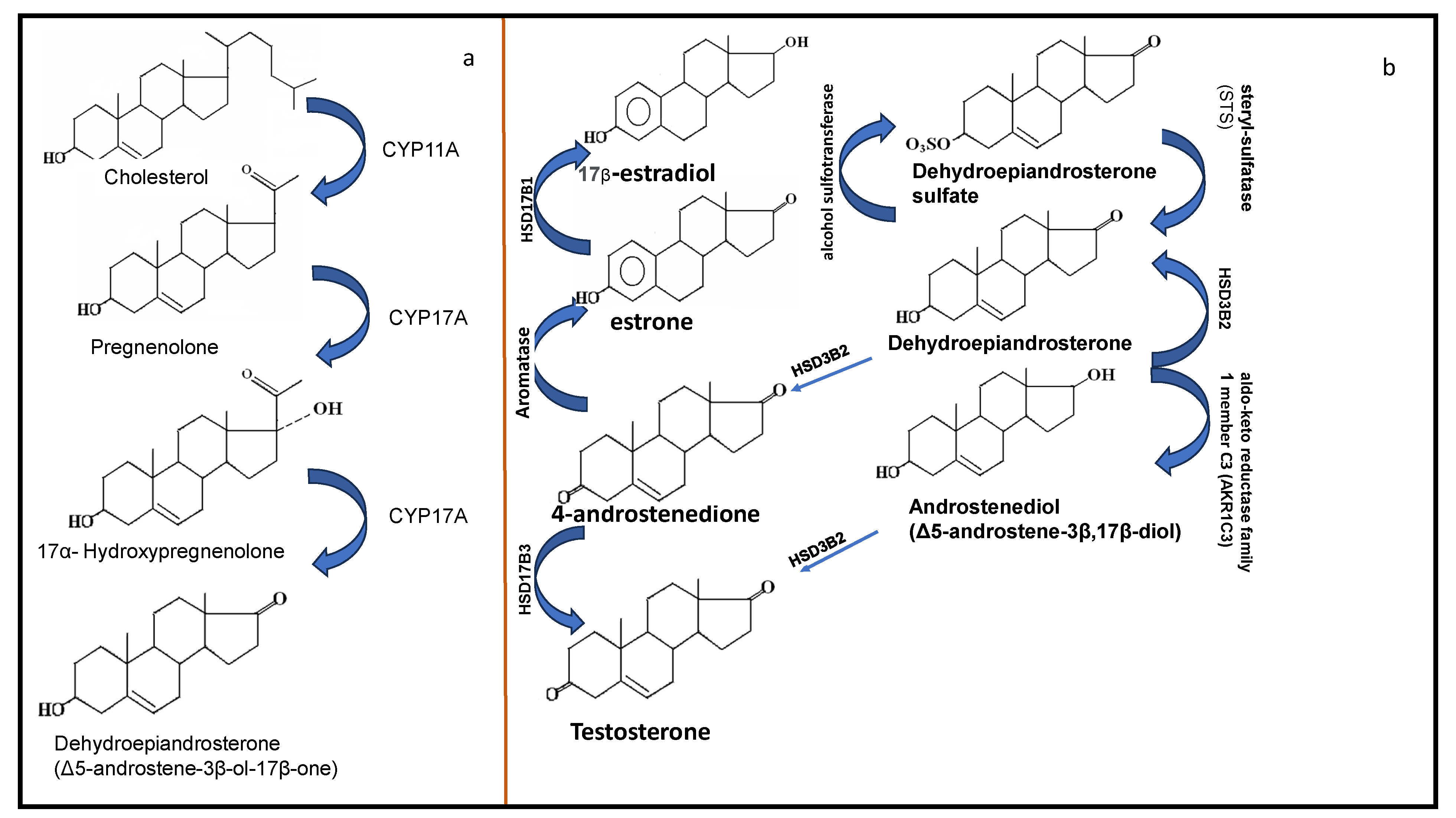 Pharmaceuticals 17 01186 g001