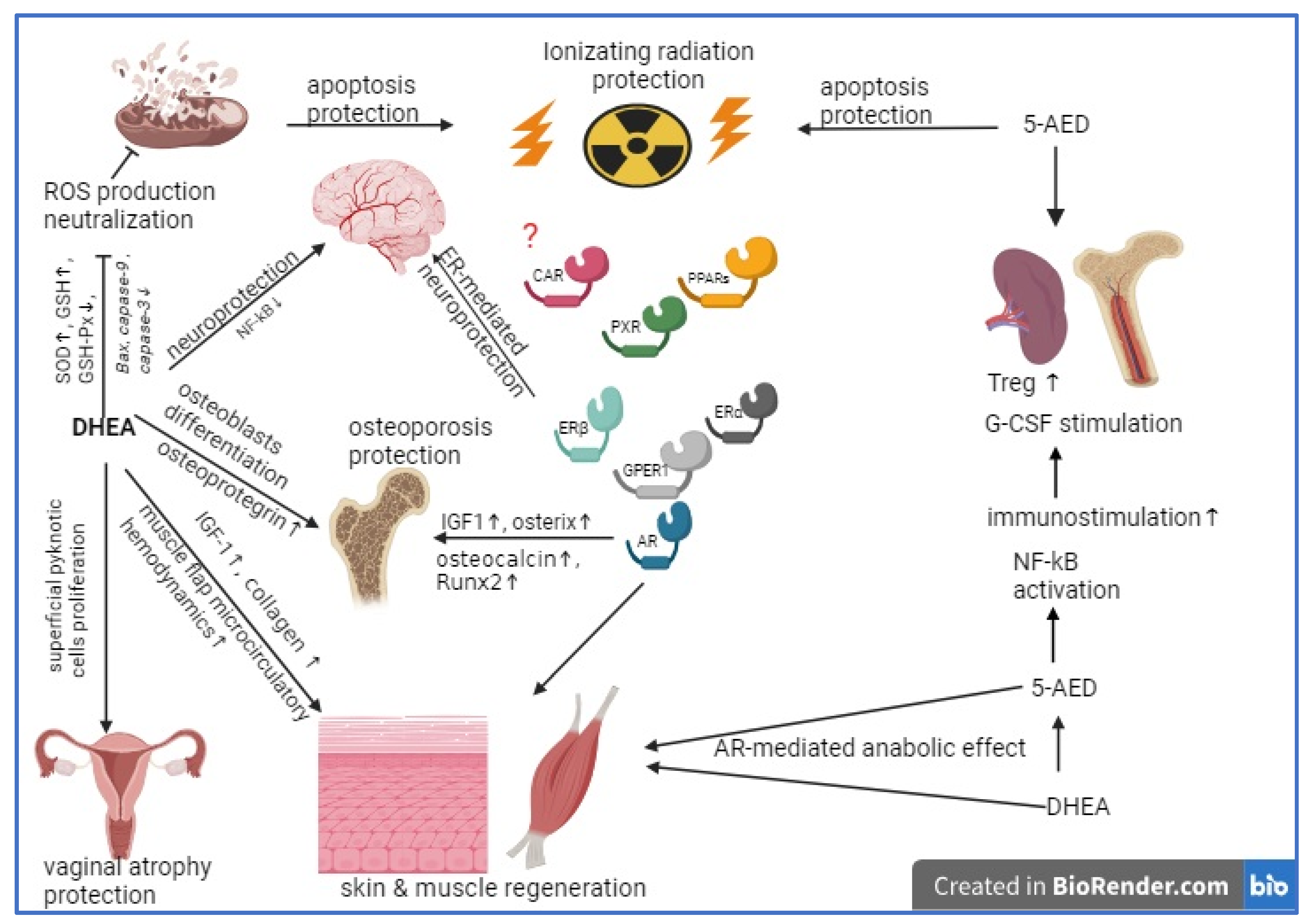 Pharmaceuticals 17 01186 g002