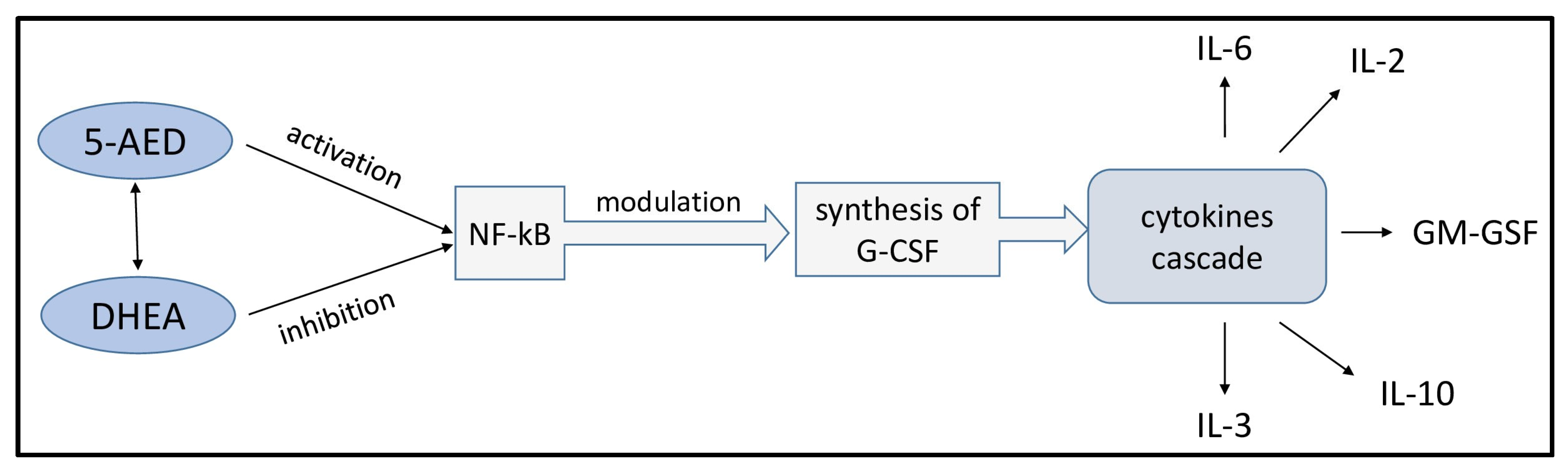 Pharmaceuticals 17 01186 g003