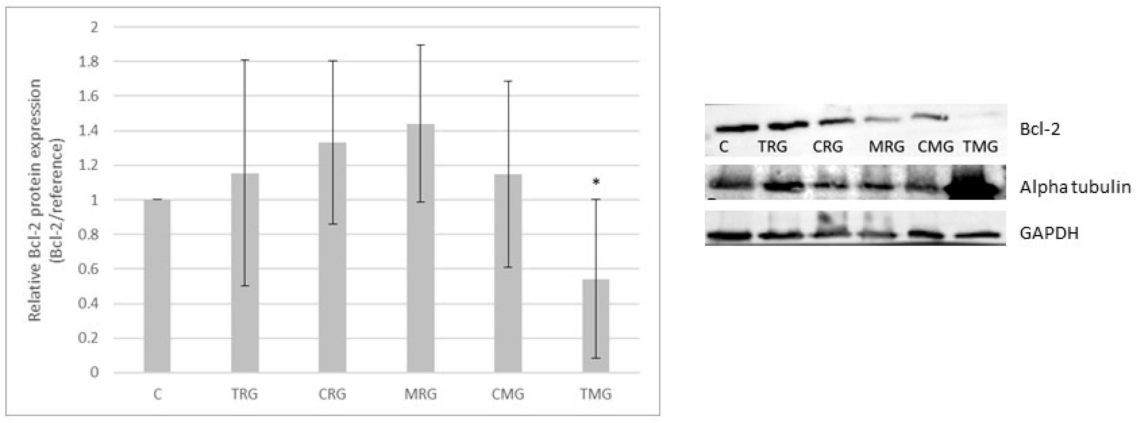 Pharmaceuticals 17 01188 g002 Pharmaceuticals 17 01188 g002
