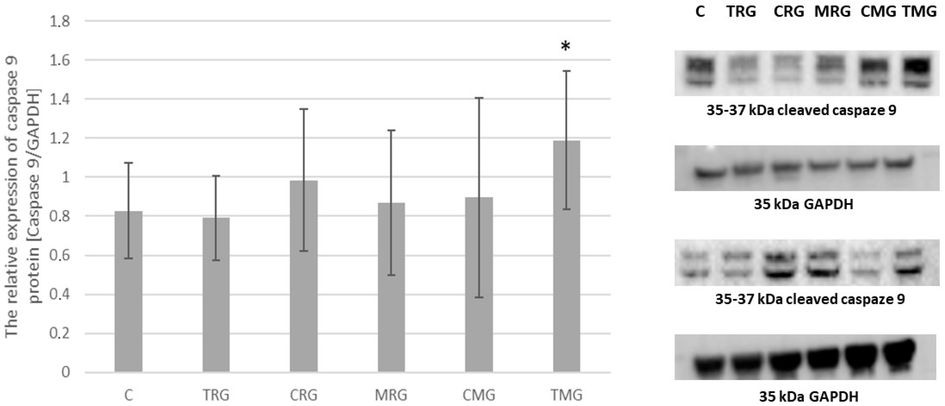 Pharmaceuticals 17 01188 g004 Pharmaceuticals 17 01188 g004