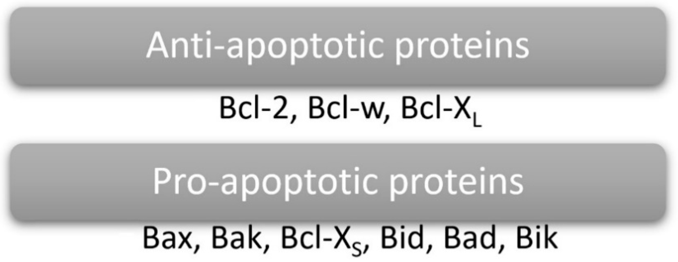 Pharmaceuticals 17 01188 g006 Pharmaceuticals 17 01188 g006