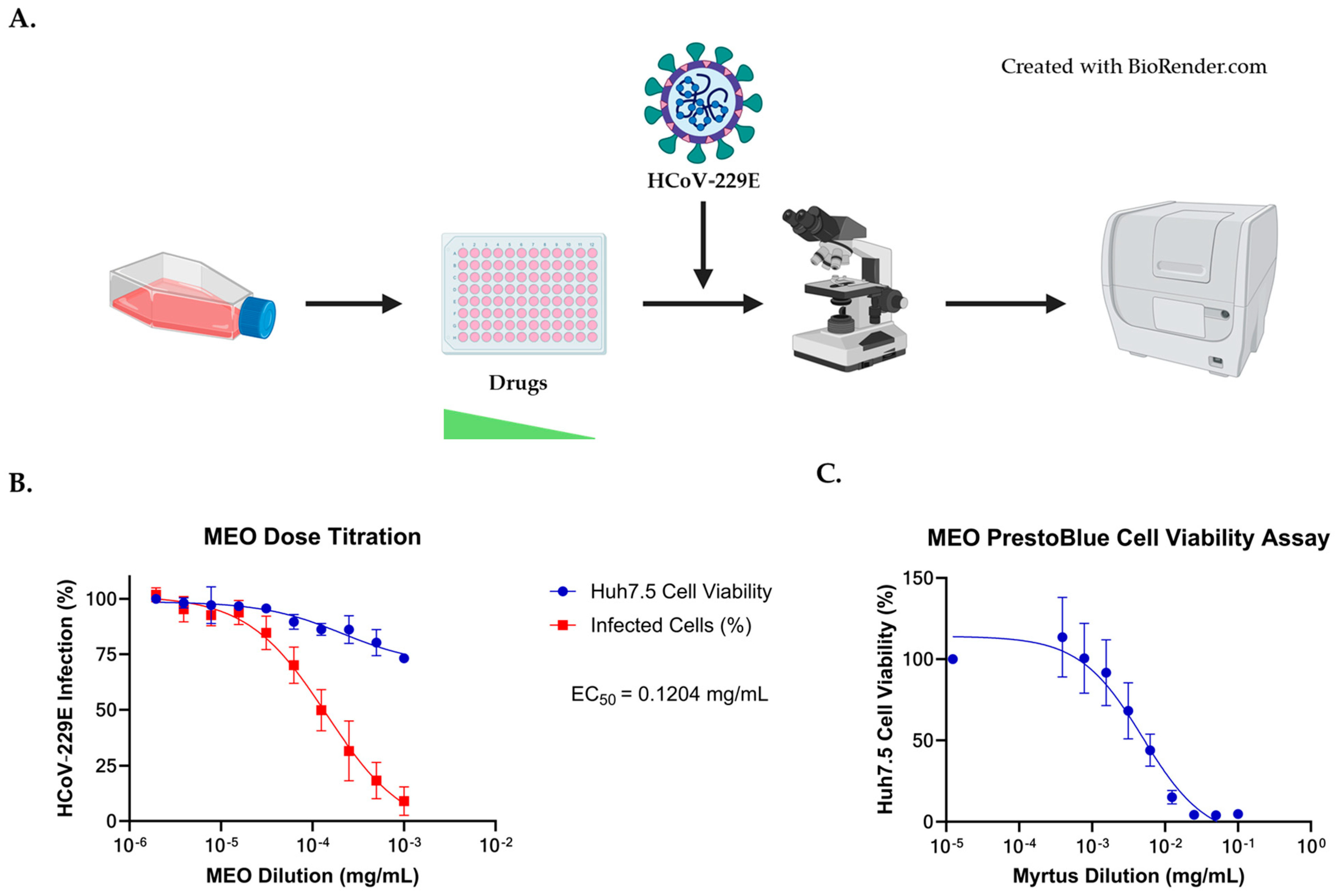 Pharmaceuticals 17 01189 g001