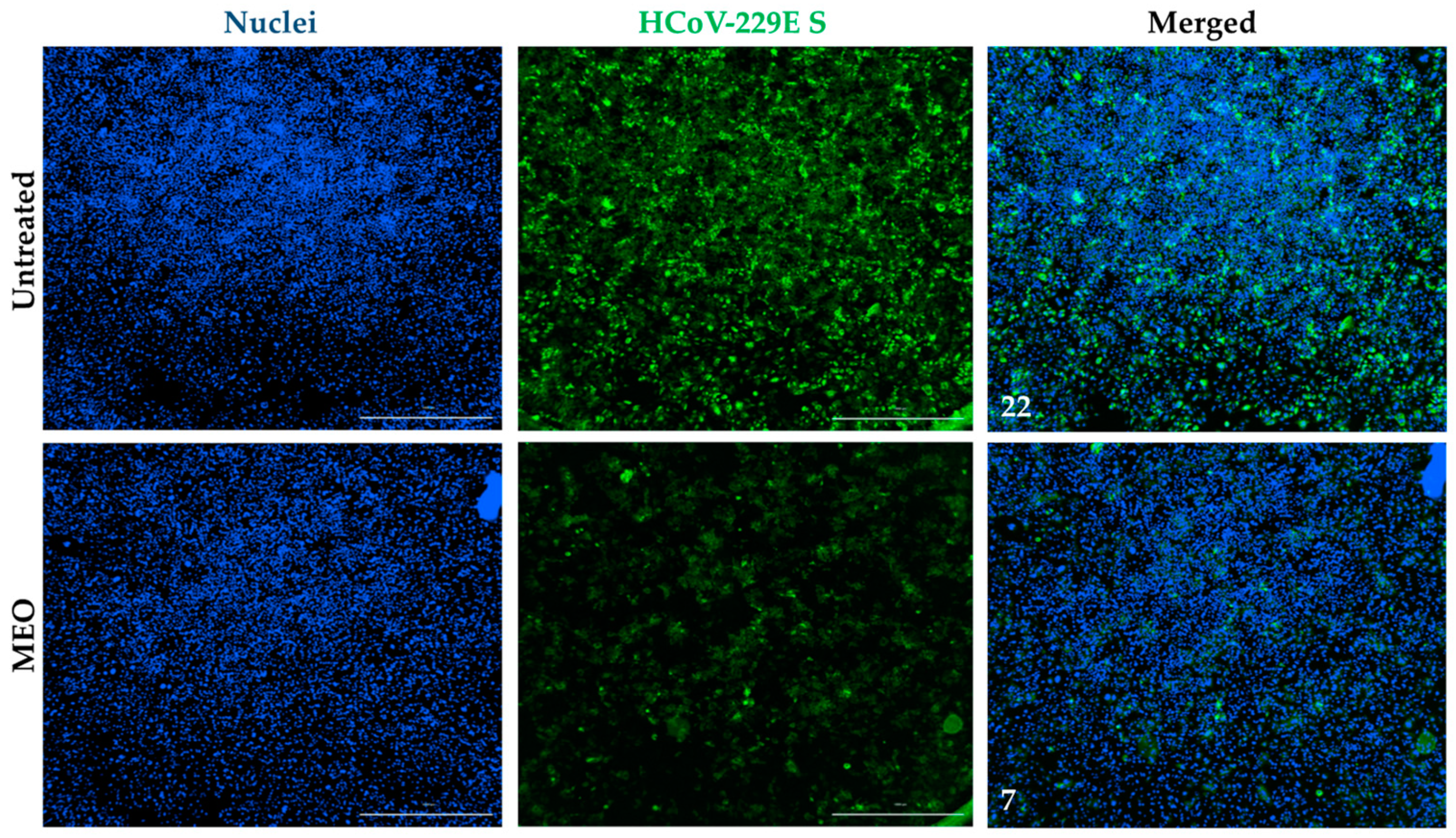 Pharmaceuticals 17 01189 g002