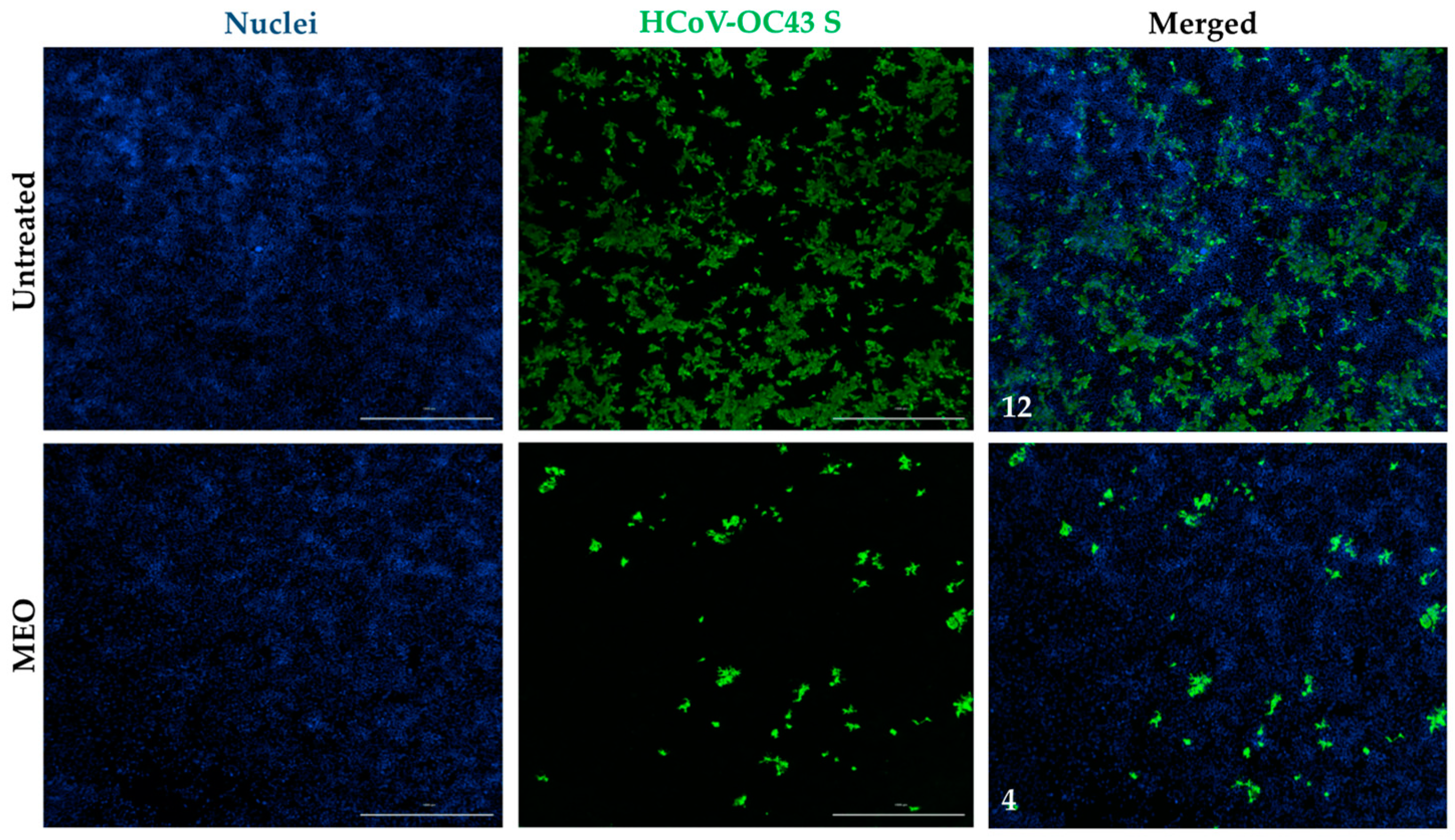 Pharmaceuticals 17 01189 g004