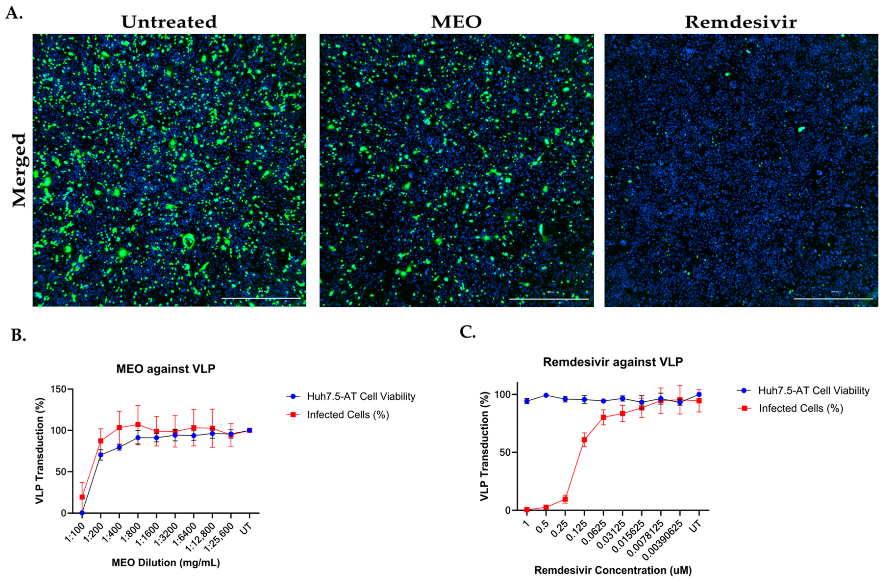 Pharmaceuticals 17 01189 g006