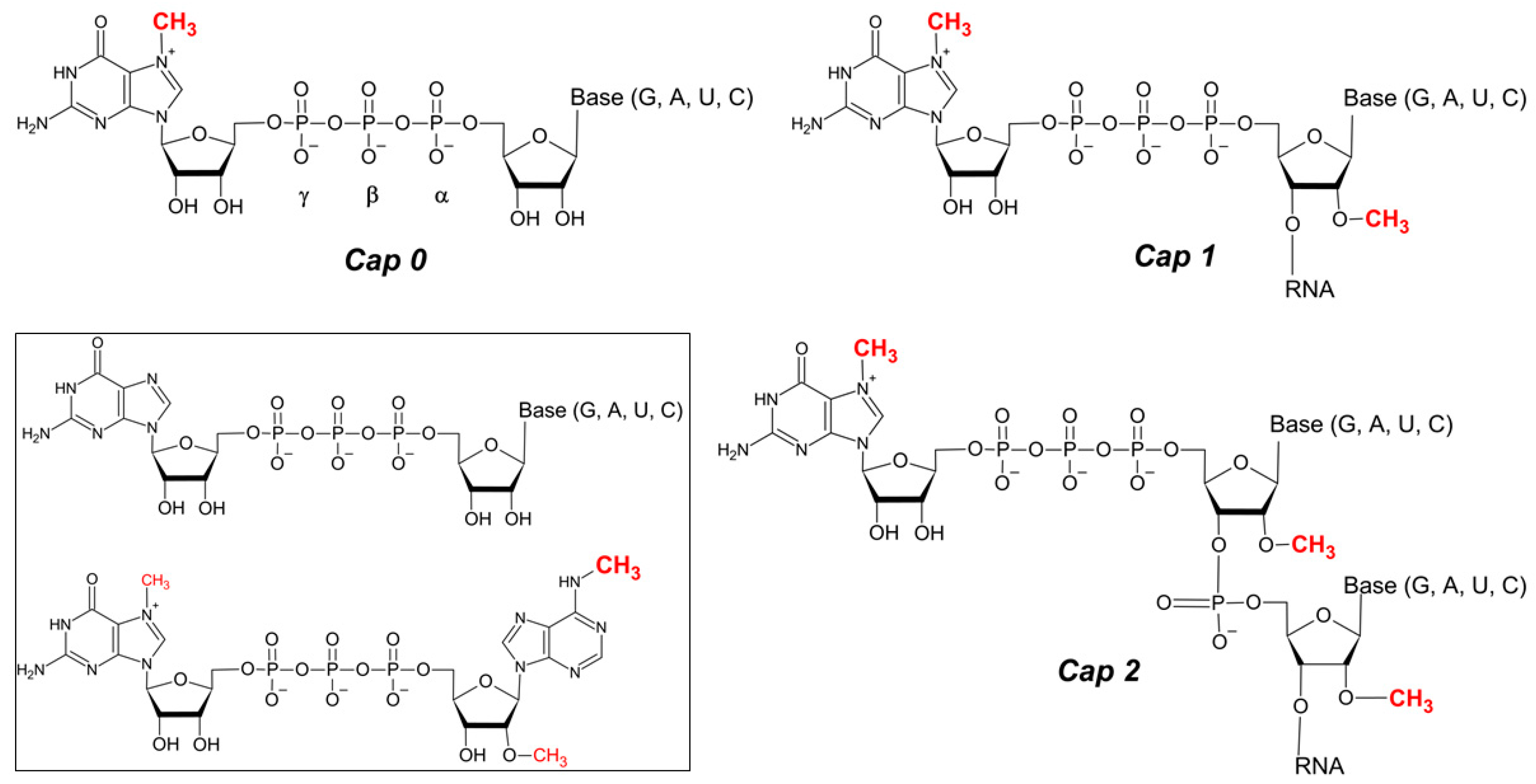 Pharmaceuticals 17 01195 g001