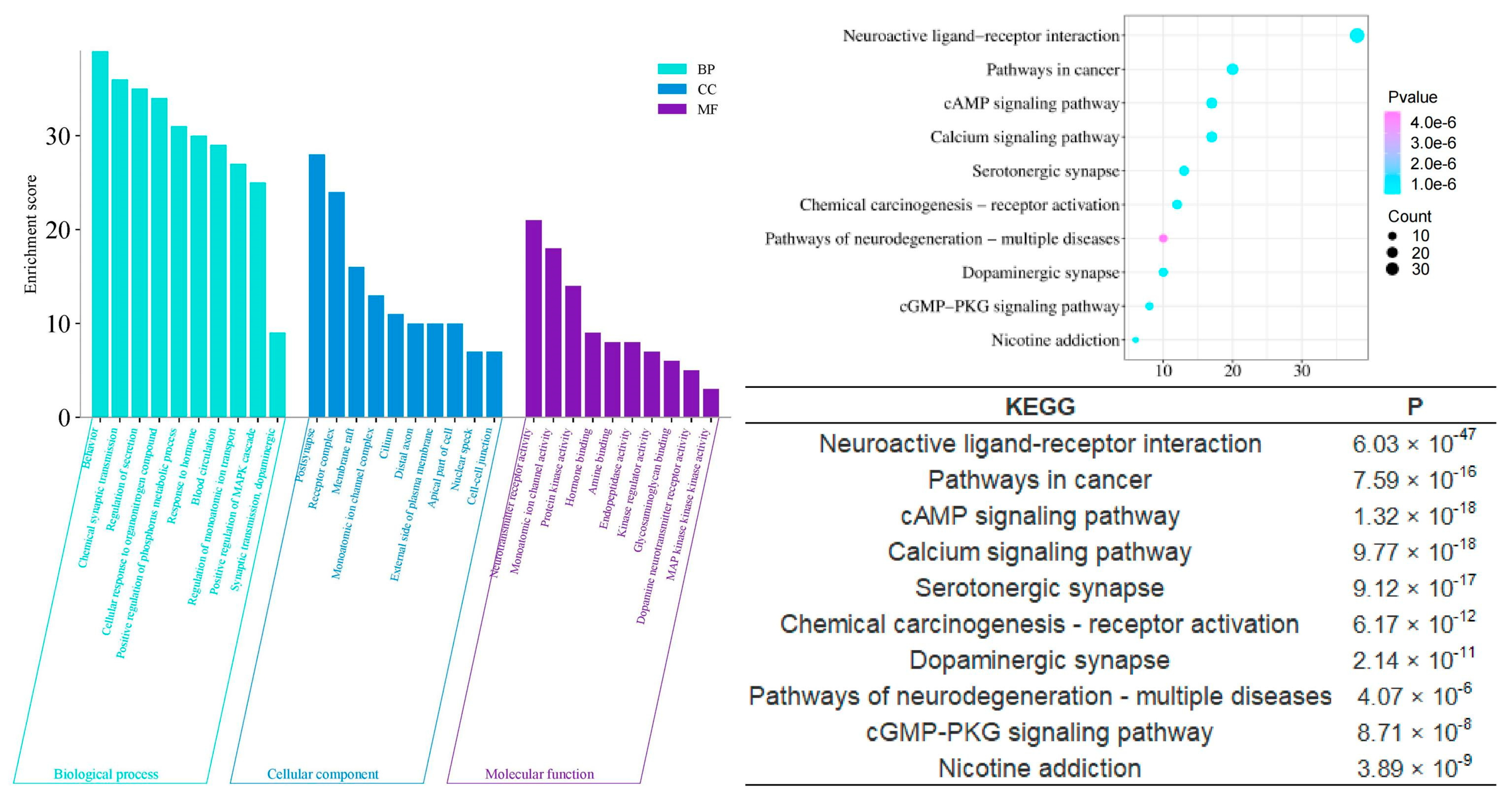 Pharmaceuticals 17 01196 g006