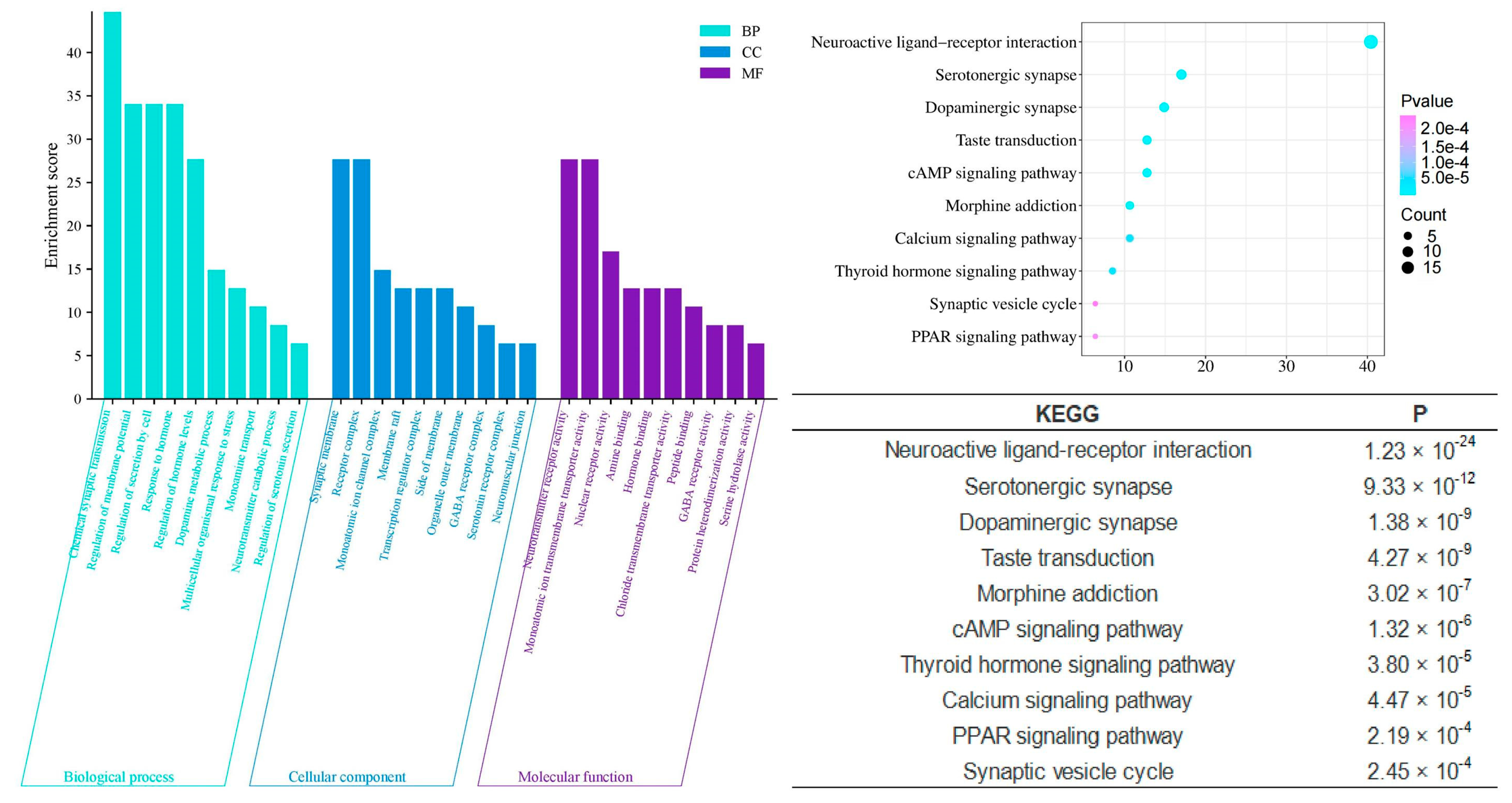 Pharmaceuticals 17 01196 g008