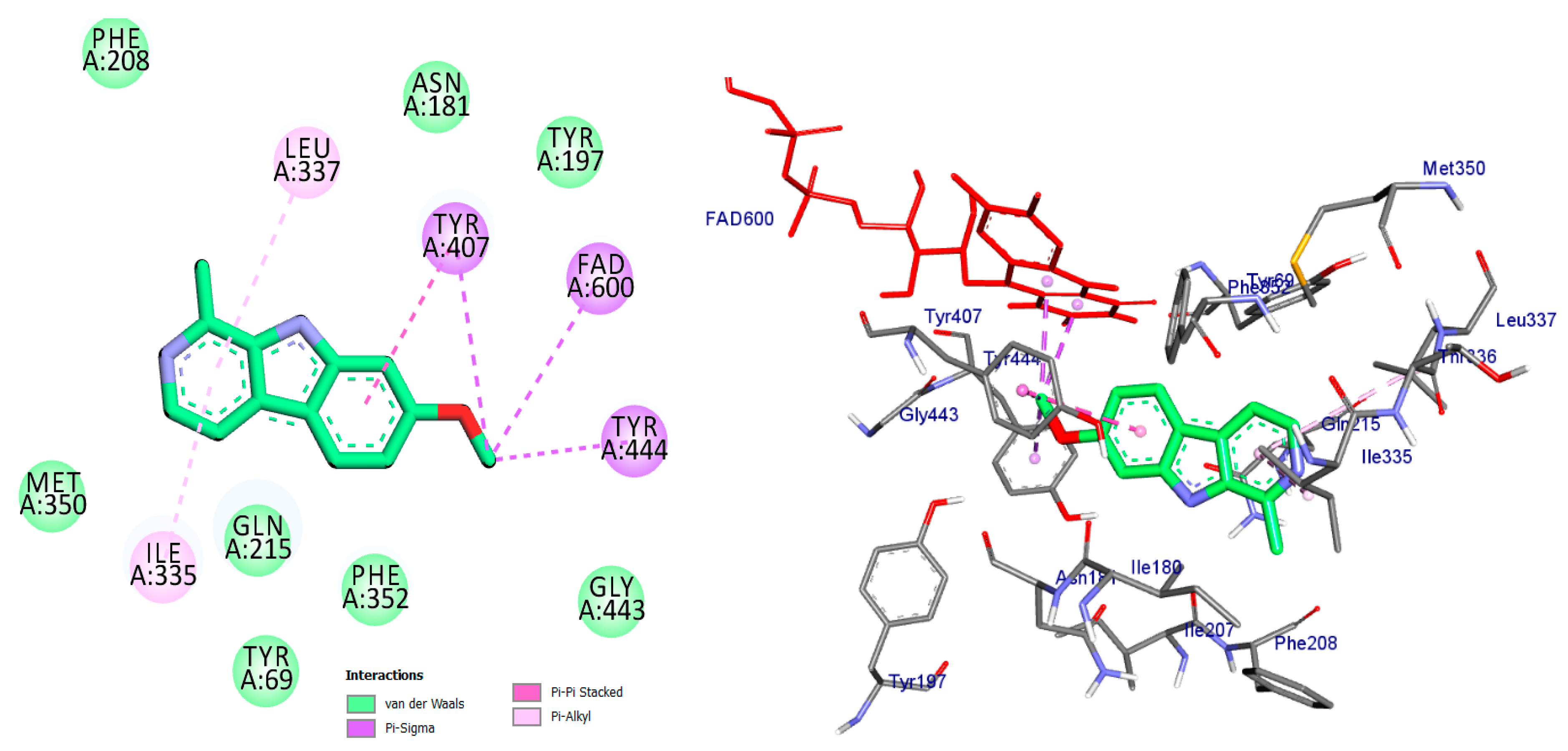 Pharmaceuticals 17 01208 g004