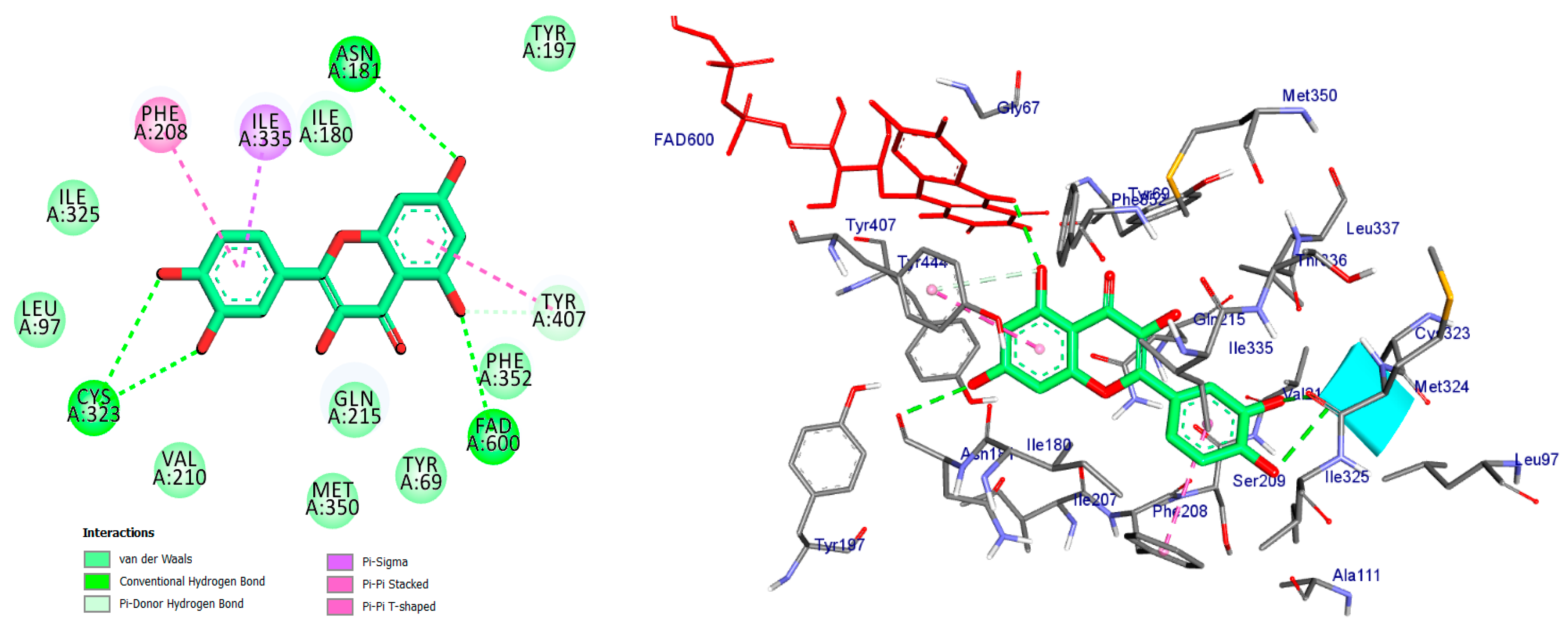 Pharmaceuticals 17 01208 g006