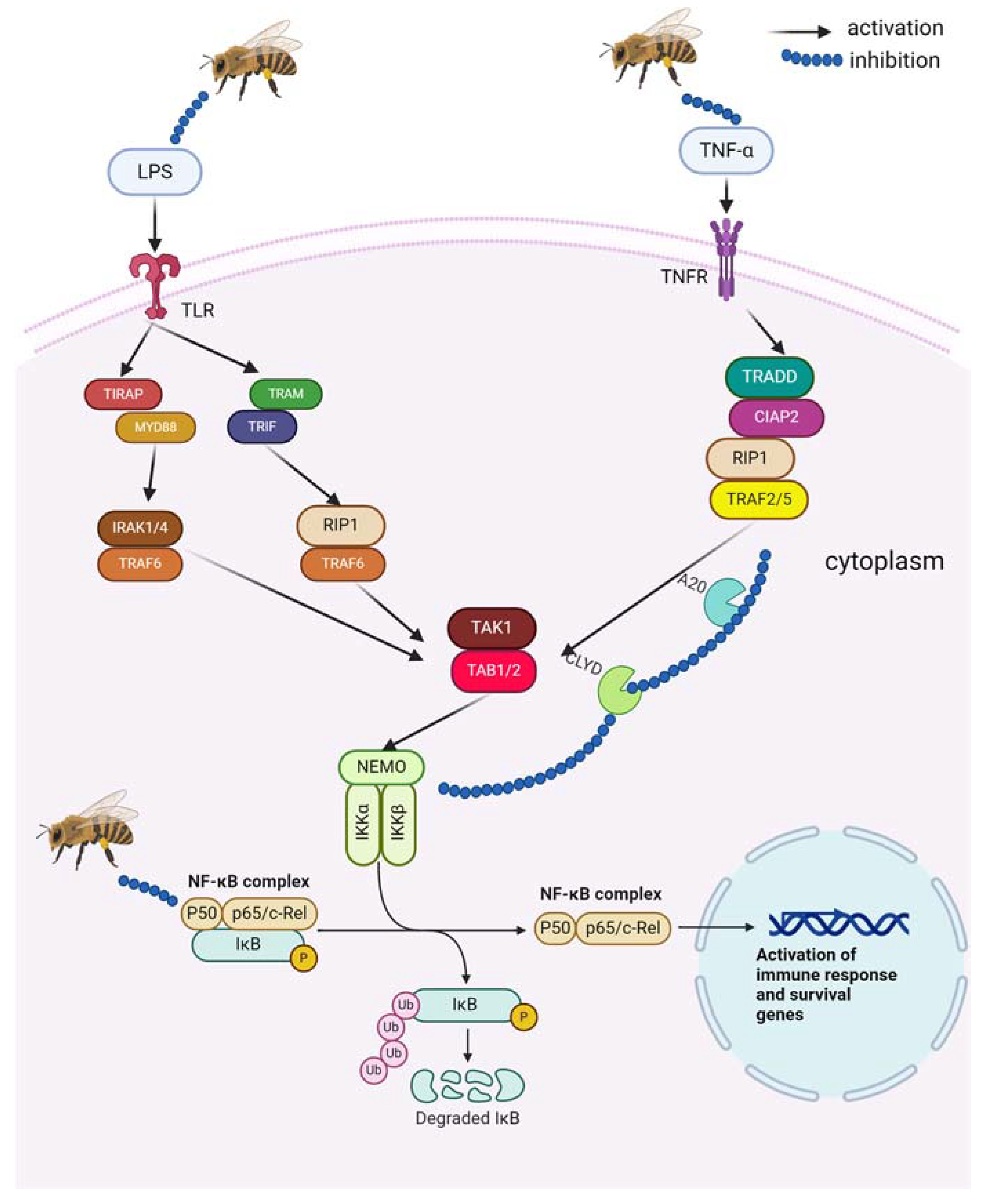 Pharmaceuticals 17 01211 g002