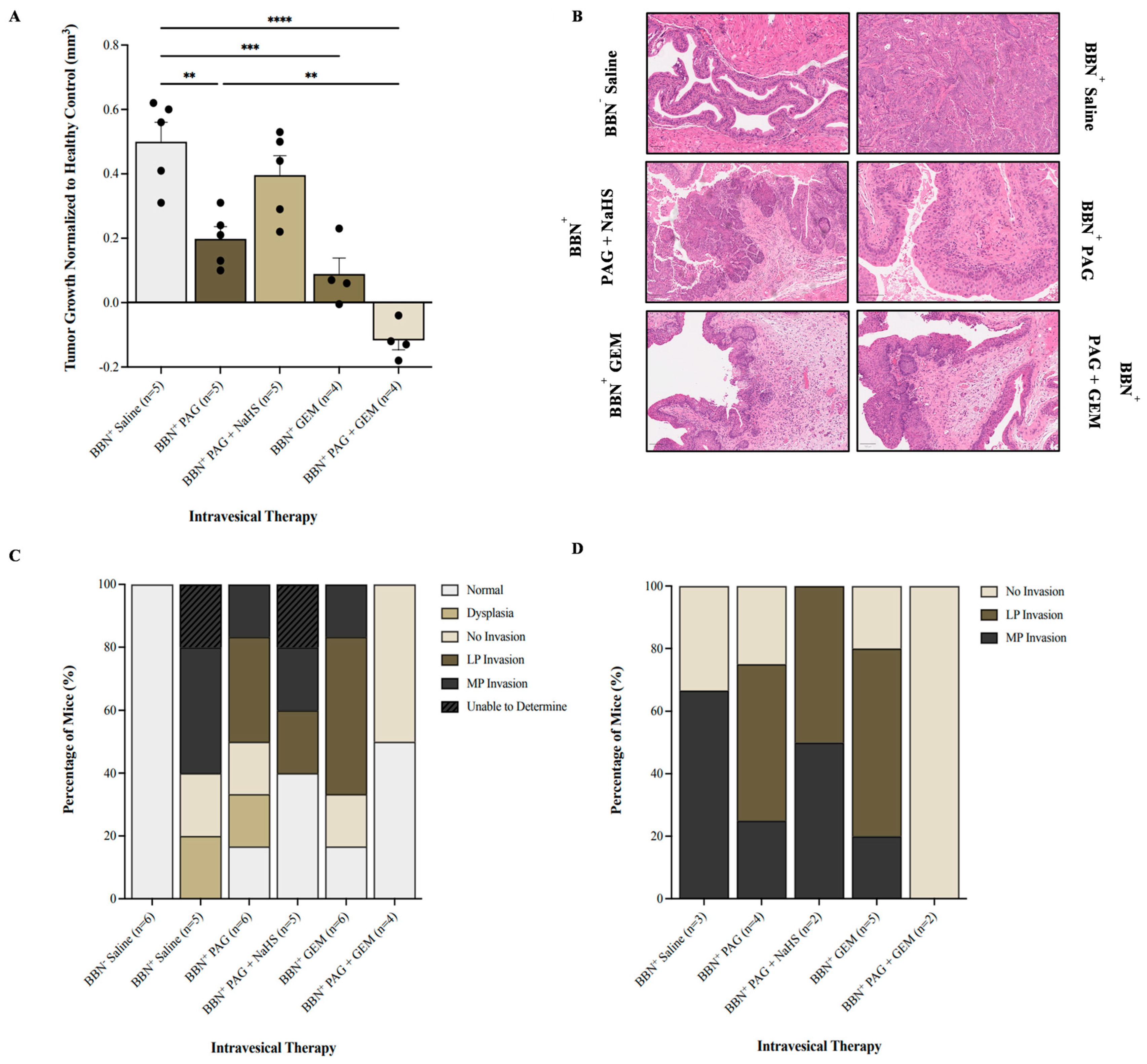 Pharmaceuticals 17 01212 g003