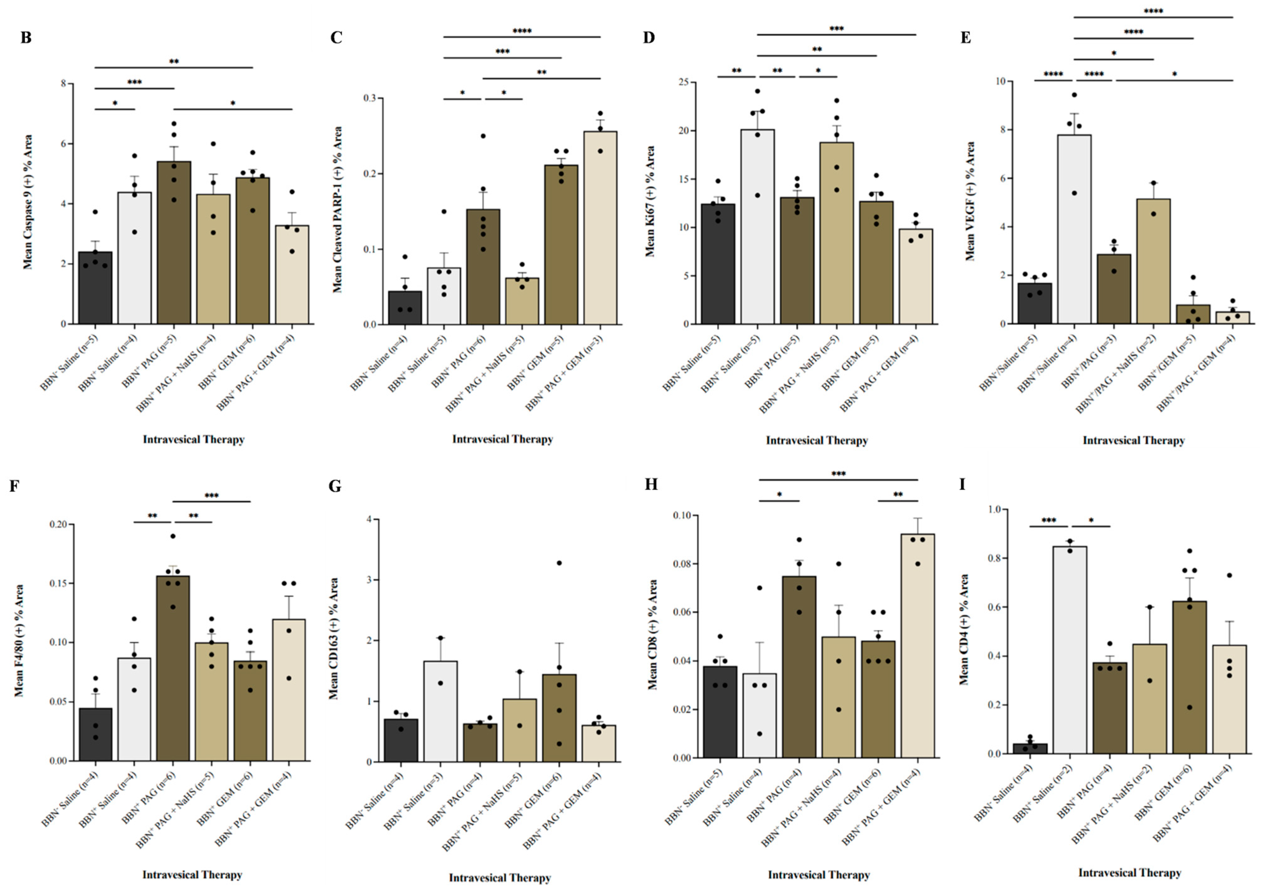 Pharmaceuticals 17 01212 g004b