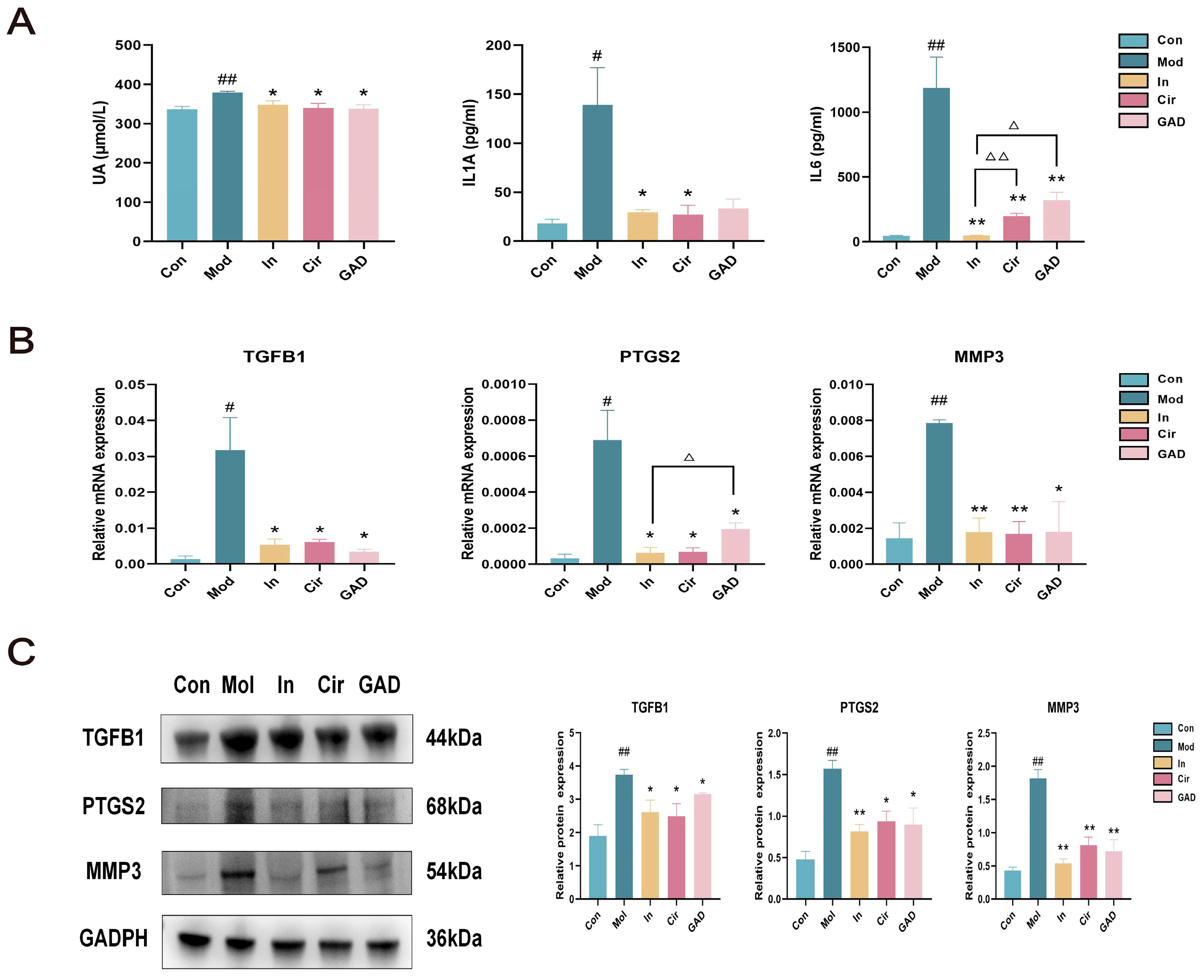 Pharmaceuticals 17 01230 g010