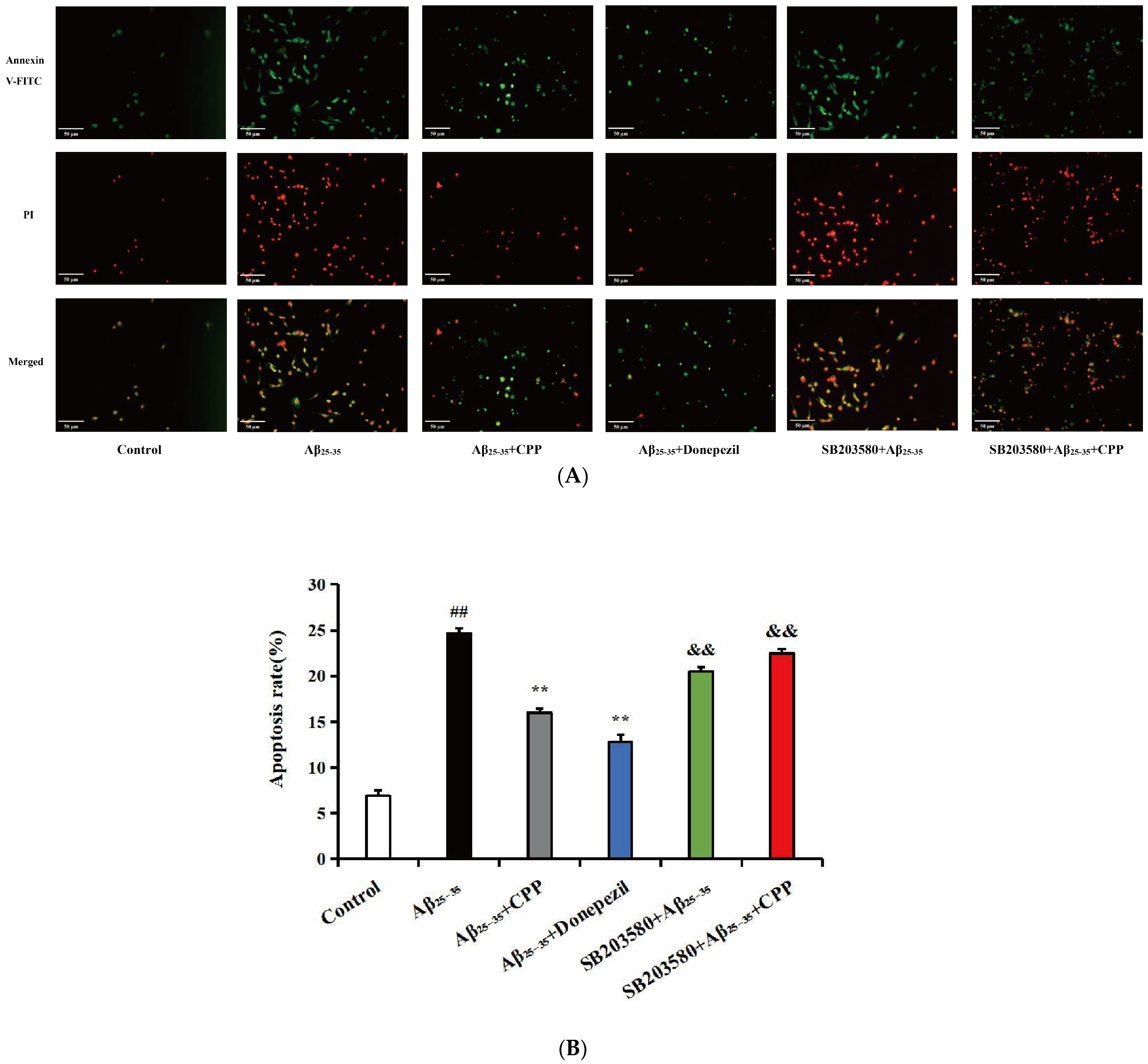 Pharmaceuticals 17 01231 g003a