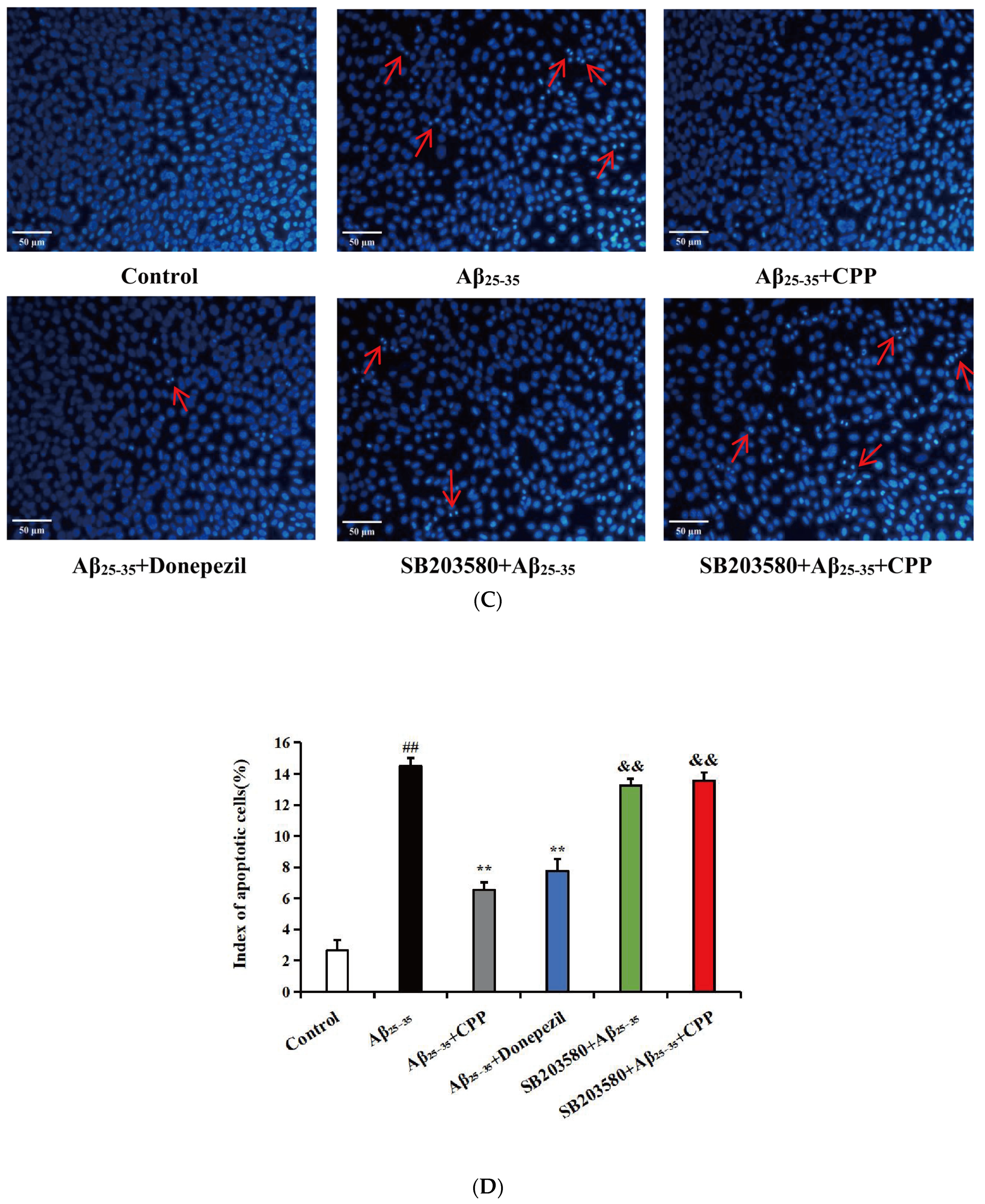 Pharmaceuticals 17 01231 g003b