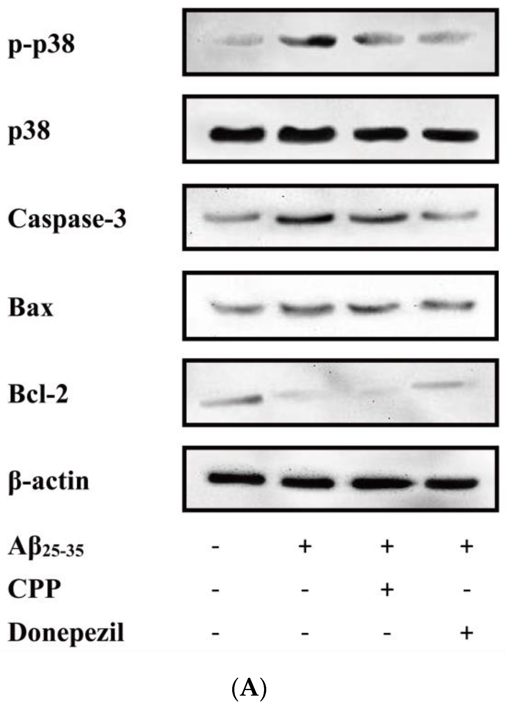 Pharmaceuticals 17 01231 g005a