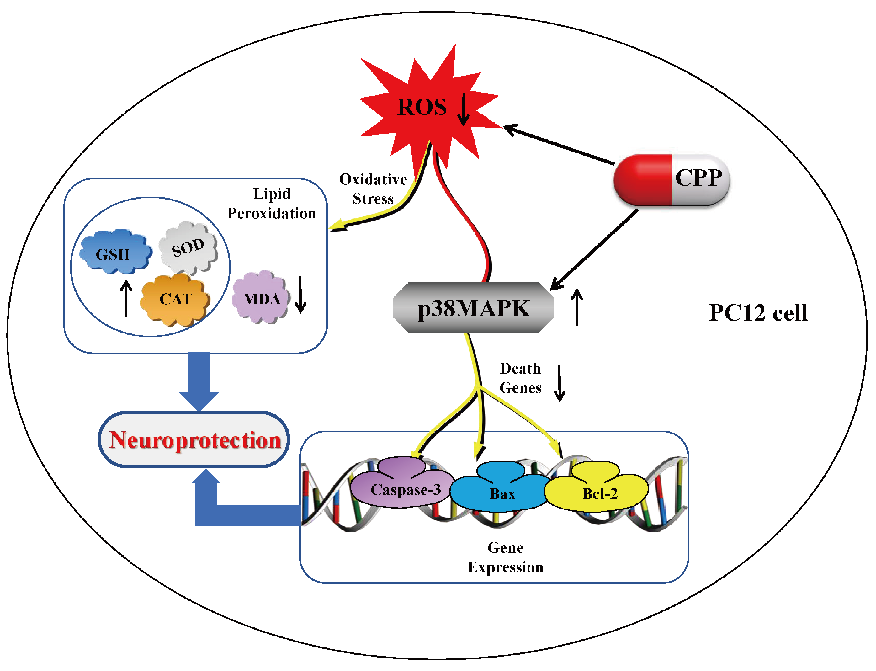 Pharmaceuticals 17 01231 g006