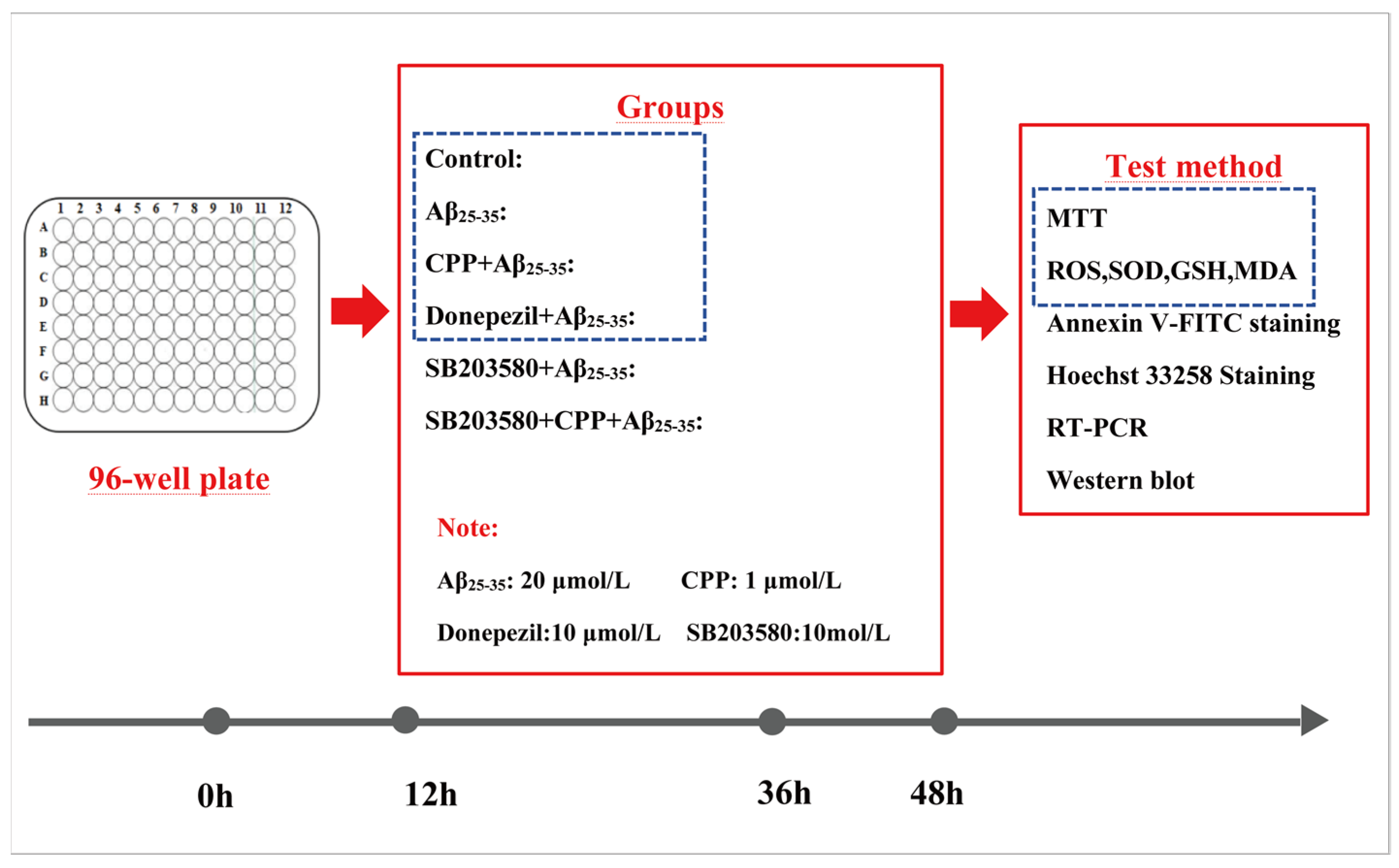 Pharmaceuticals 17 01231 g007
