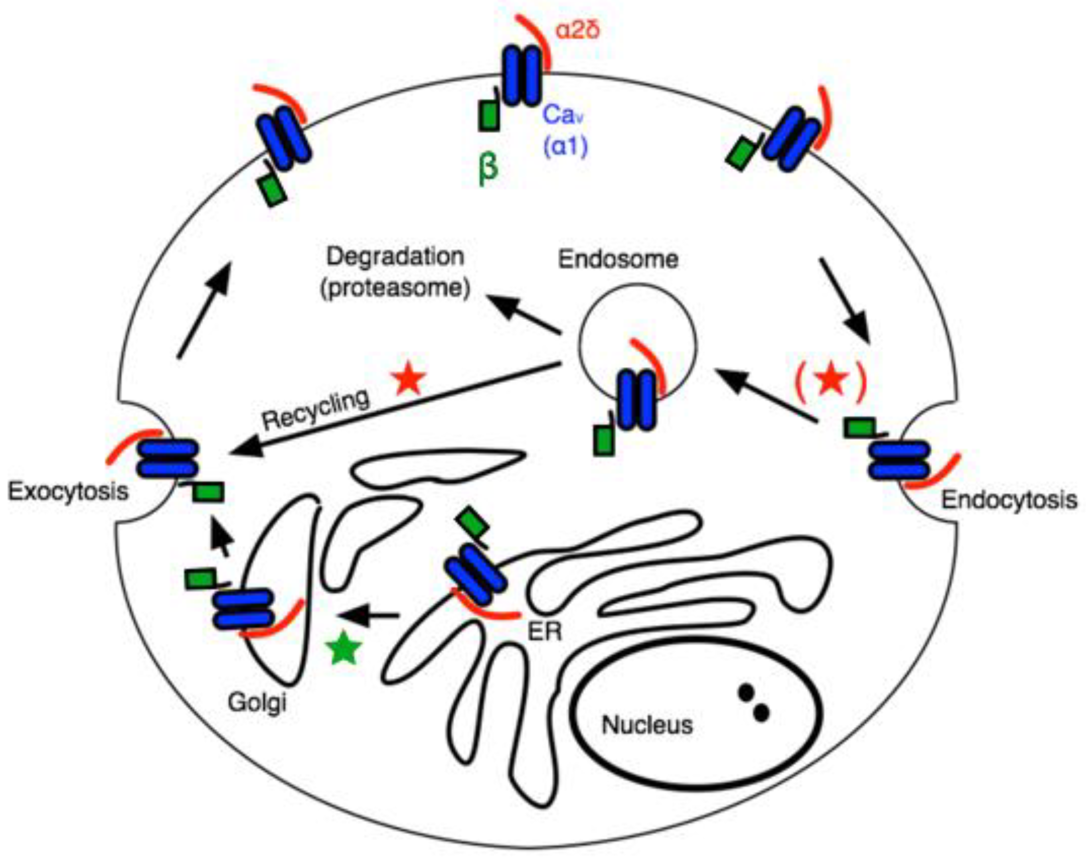 Pharmaceuticals 17 01237 g001
