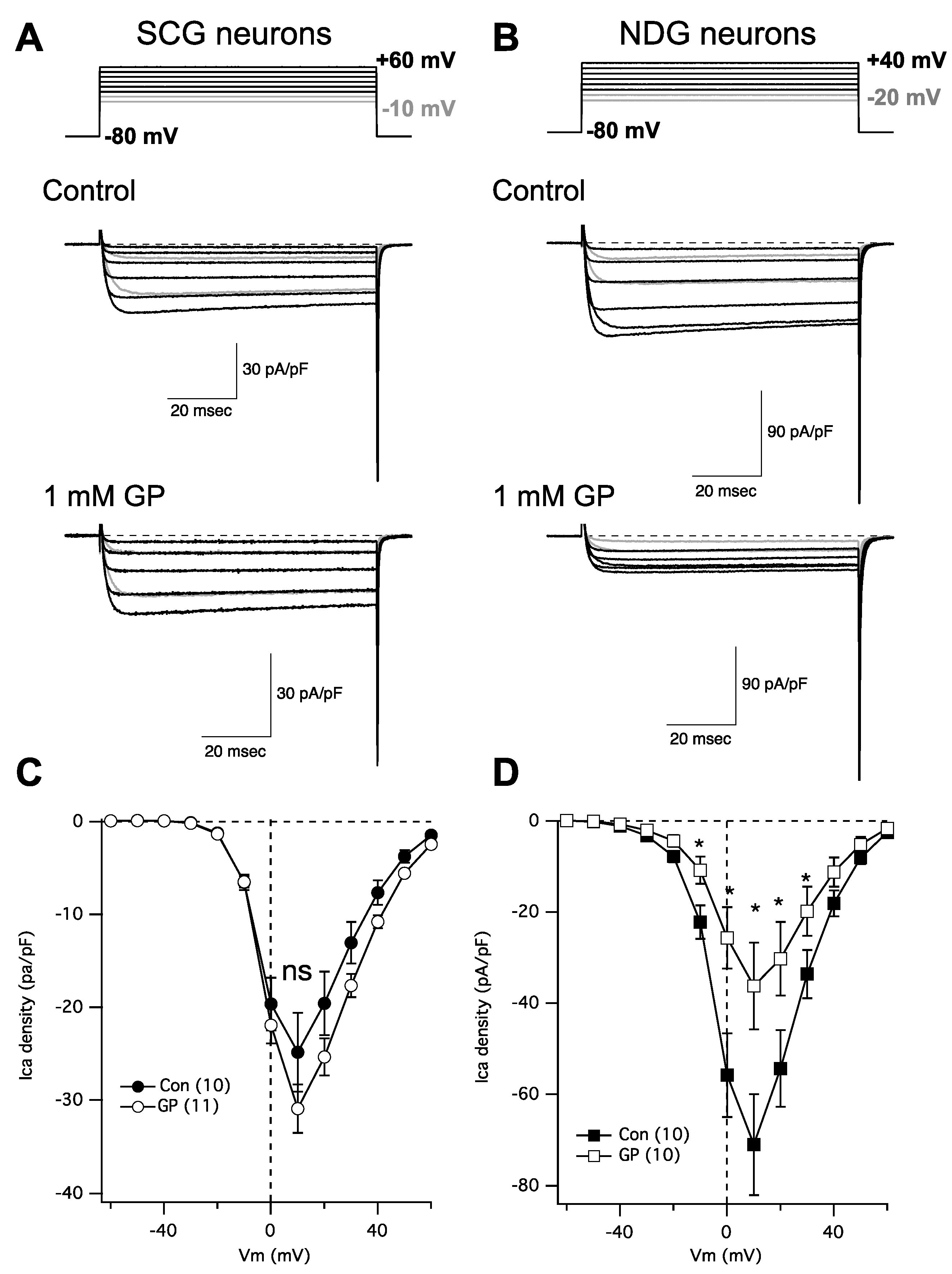 Pharmaceuticals 17 01237 g002