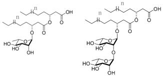 Pharmaceuticals 17 01239 i001