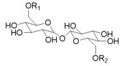 Pharmaceuticals 17 01239 i002