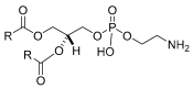 Pharmaceuticals 17 01239 i006